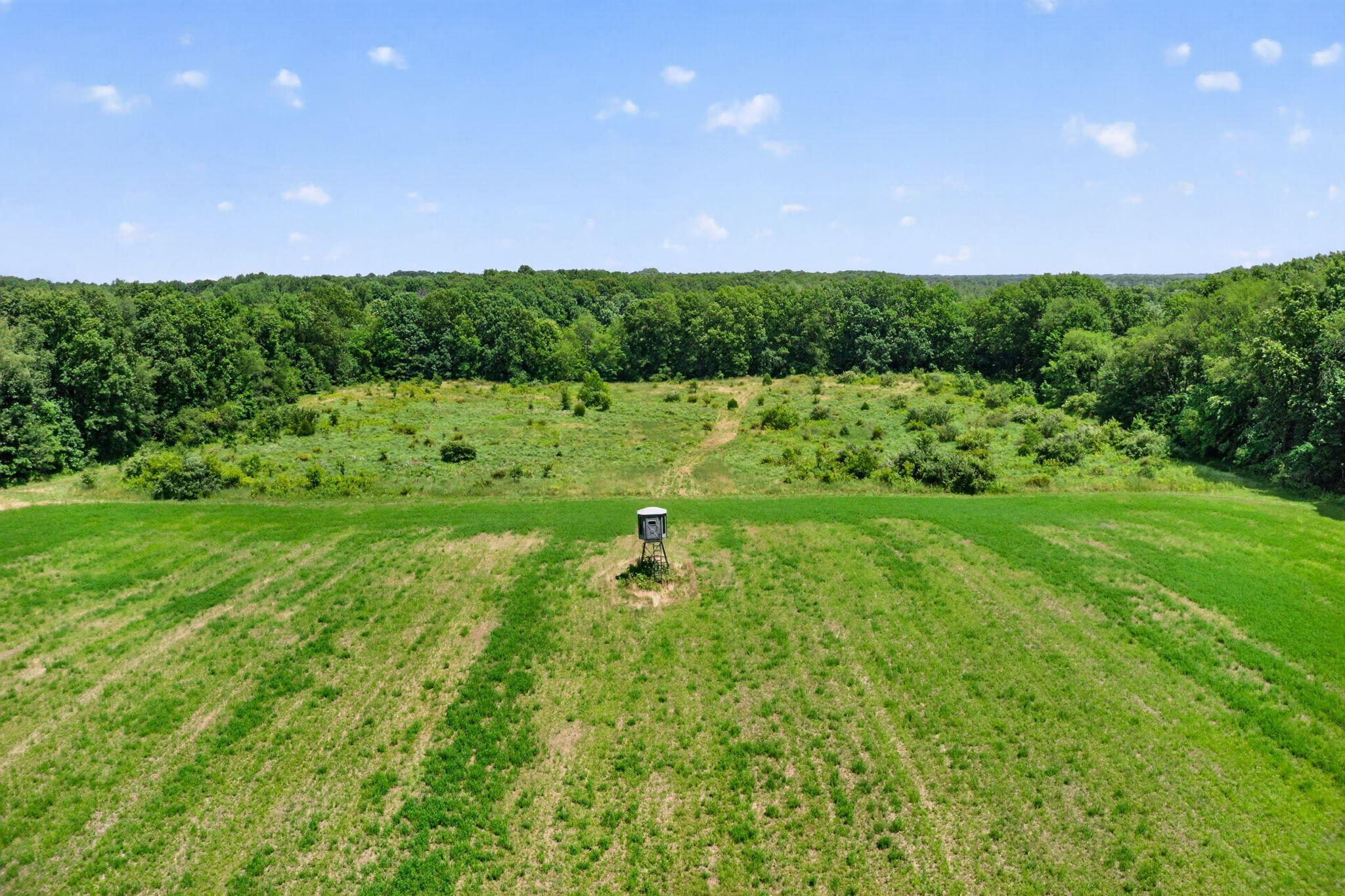 64030 Chain Lake Street Cassopolis MI 49031
