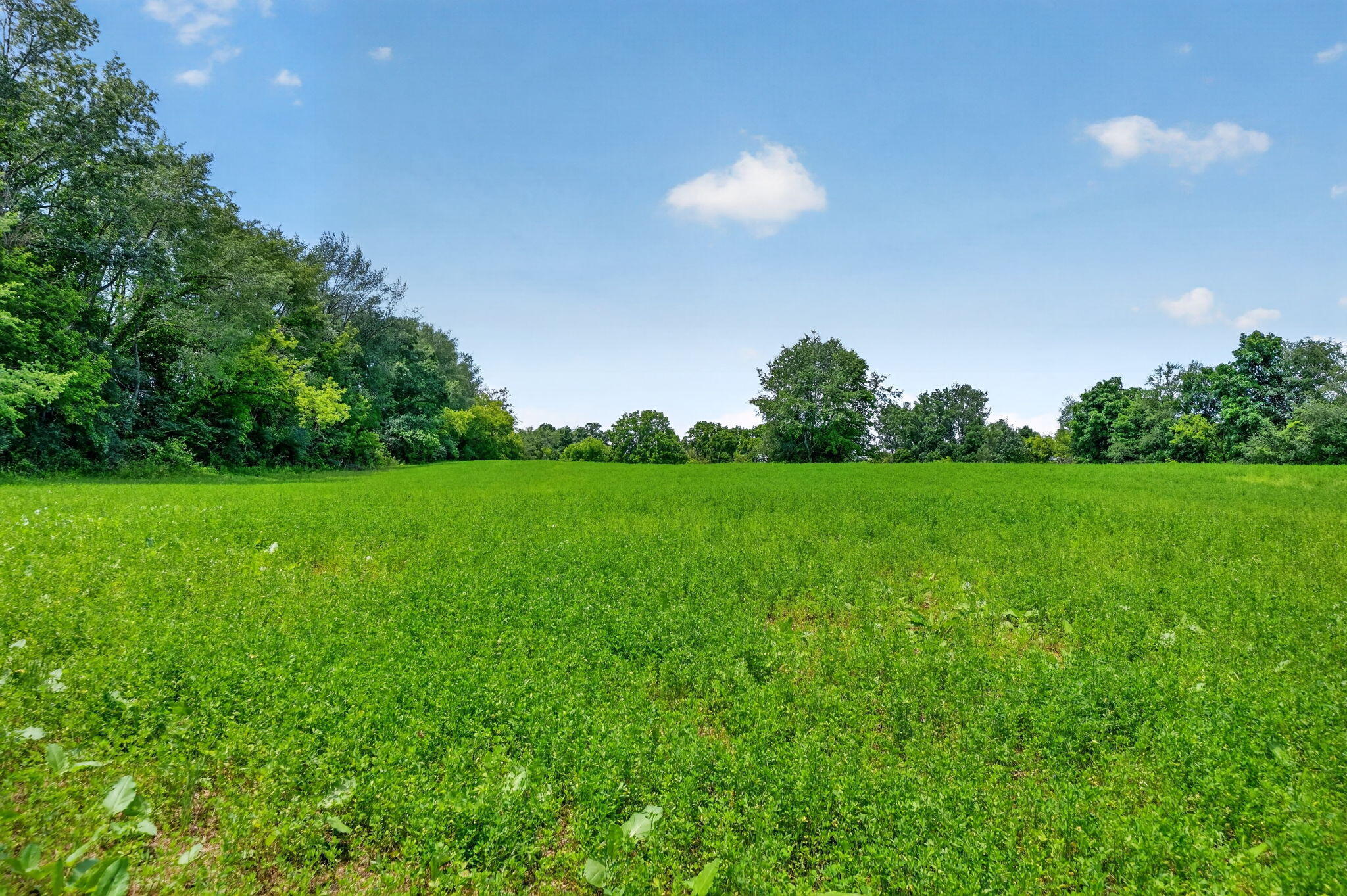 64030 Chain Lake Street Cassopolis MI 49031