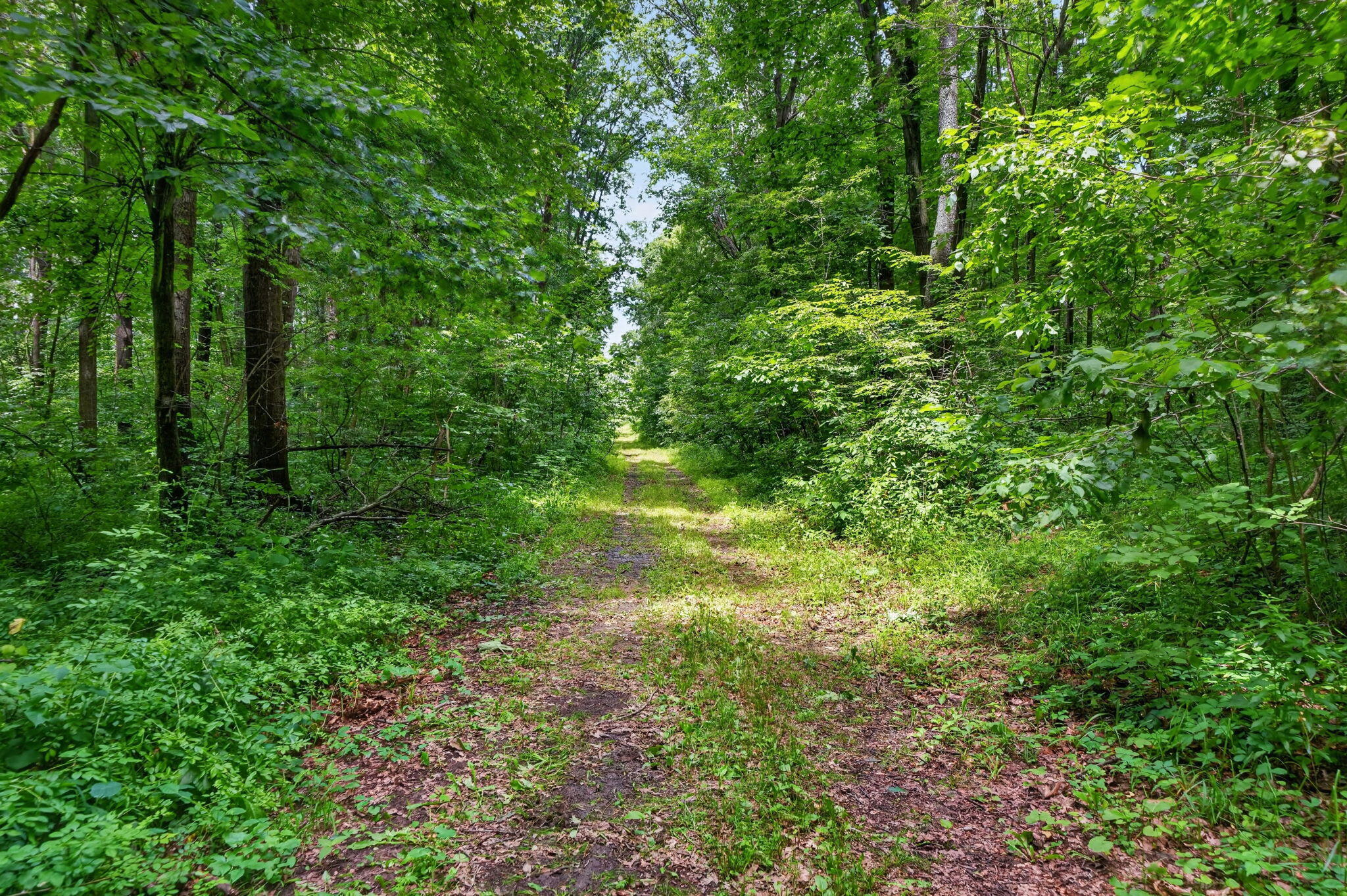 64030 Chain Lake Street Cassopolis MI 49031