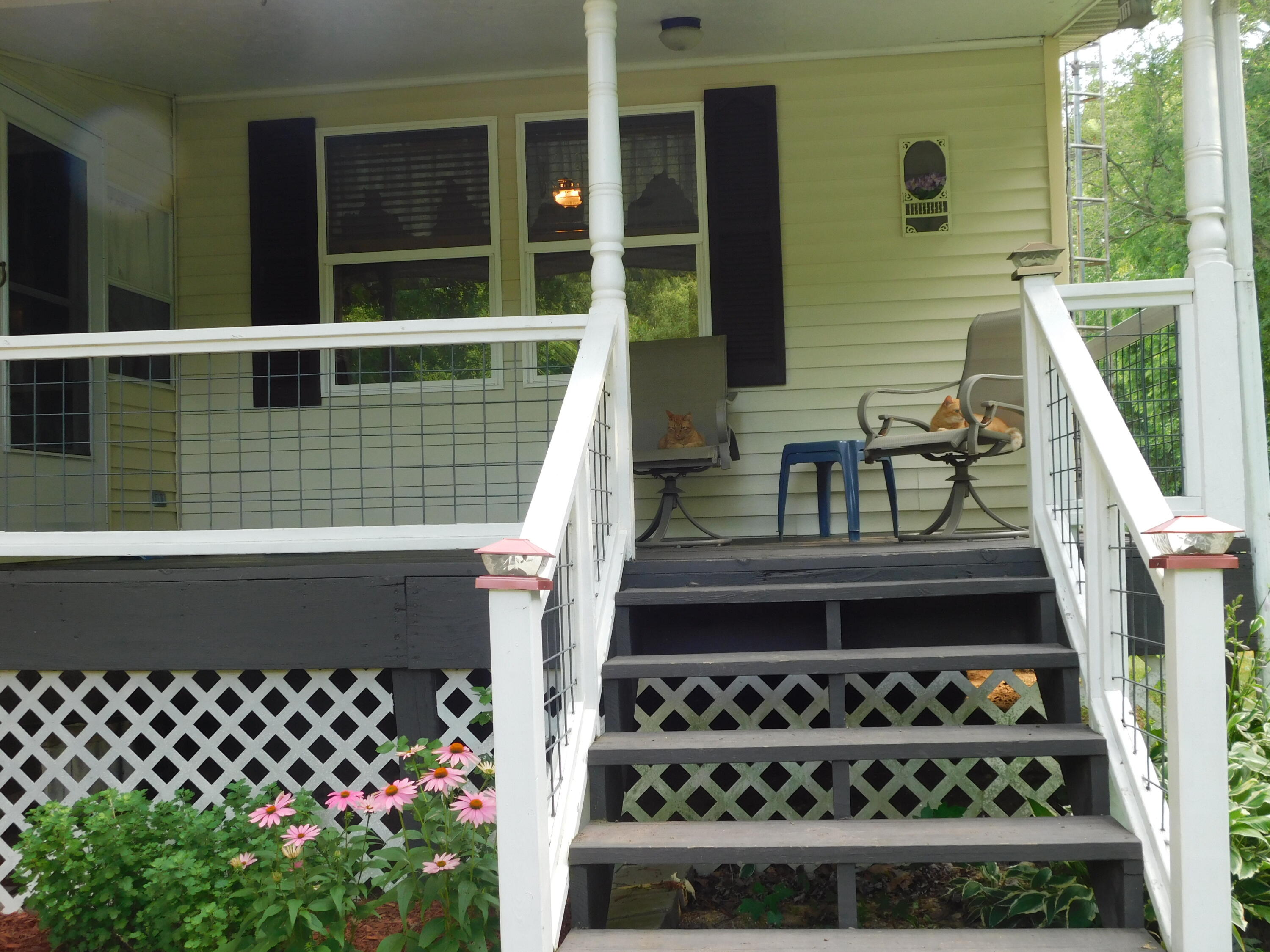 19278 Dutch Settlement Street Cassopolis MI 49031