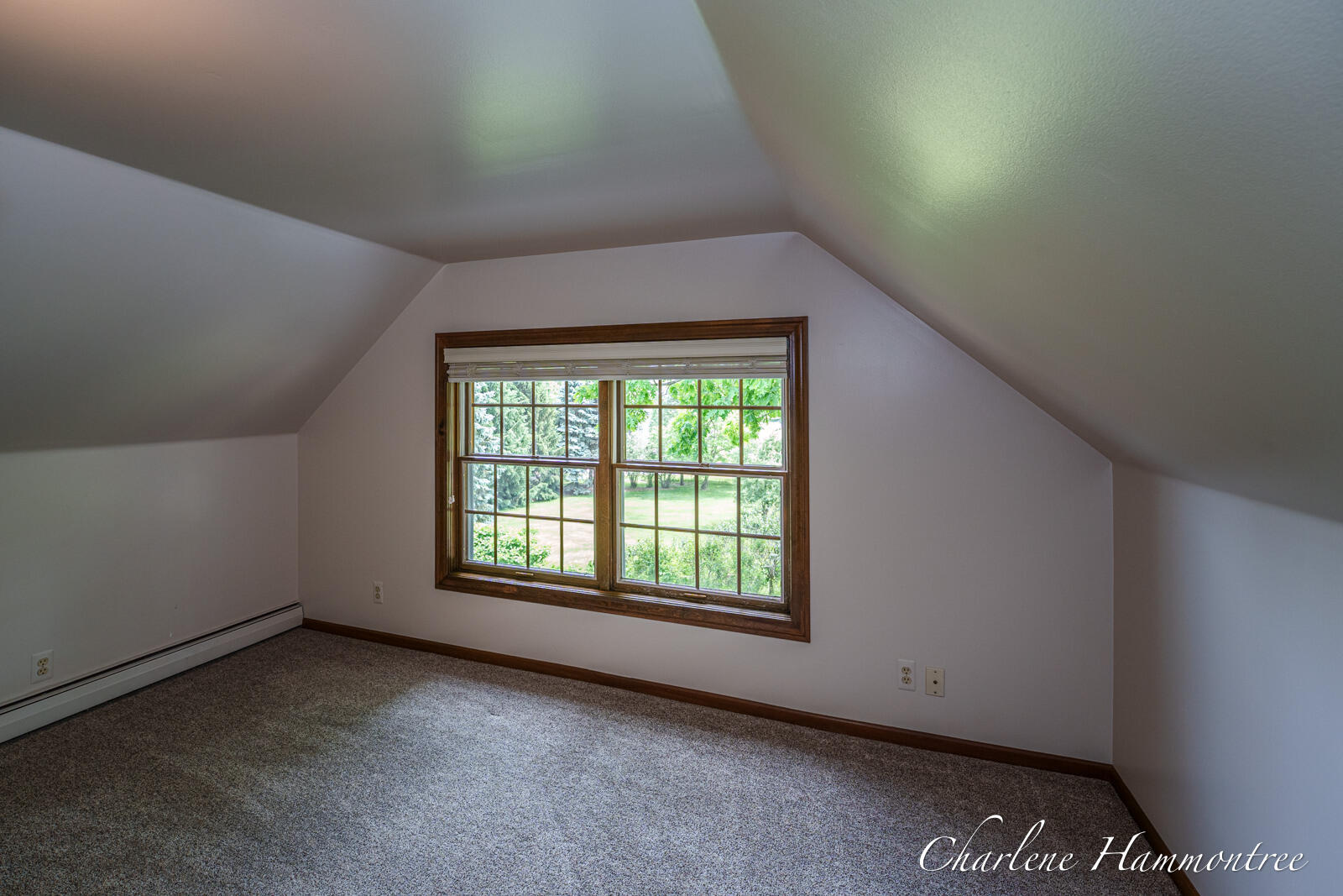 9111 Summit Avenue NE Rockford MI 49341