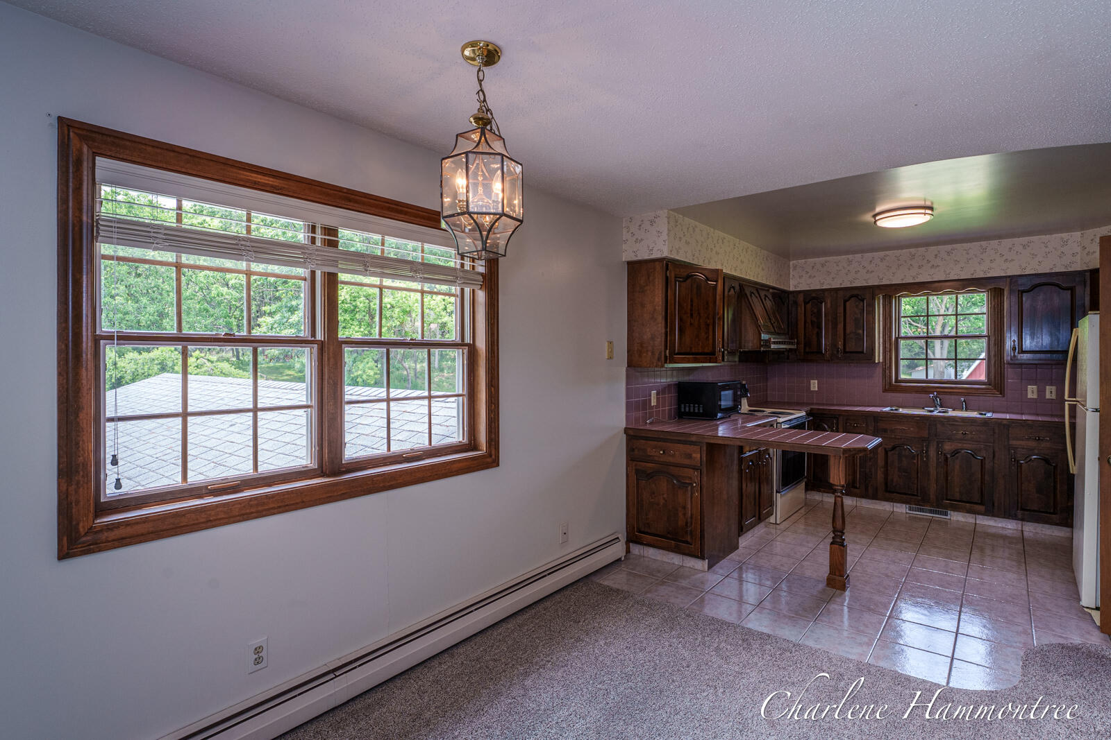 9111 Summit Avenue NE Rockford MI 49341