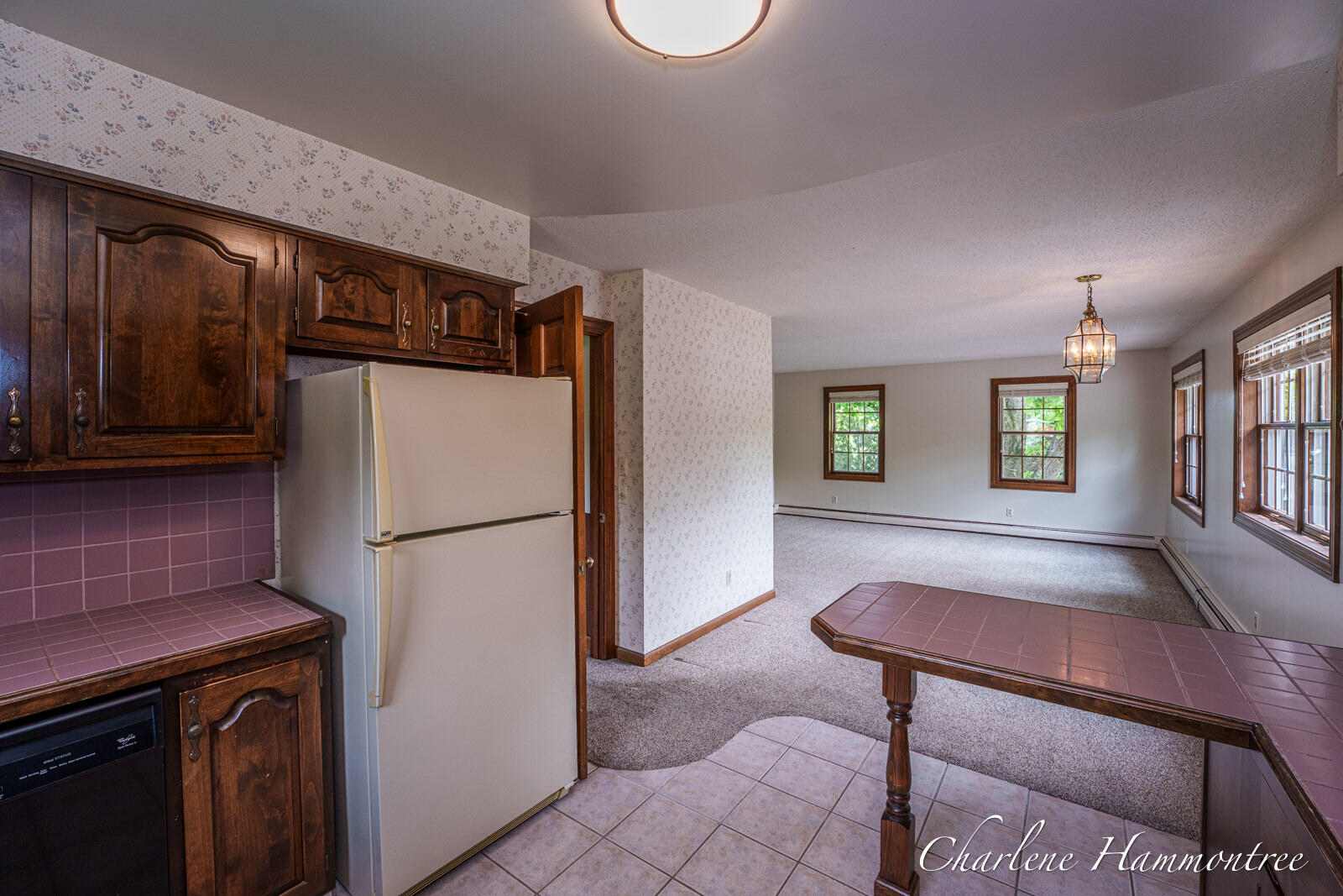 9111 Summit Avenue NE Rockford MI 49341
