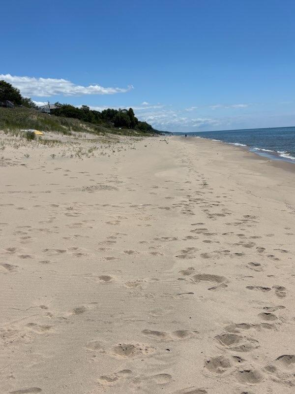 10543 Lakeshore Drive West Olive MI 49460