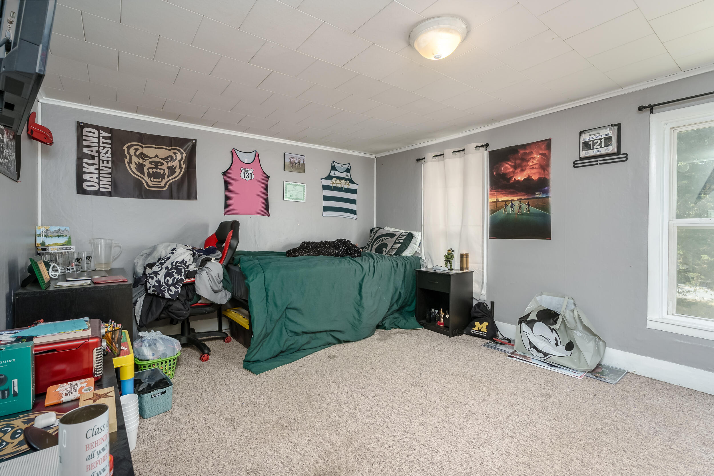 5955 102nd Avenue Grand Junction MI 49056