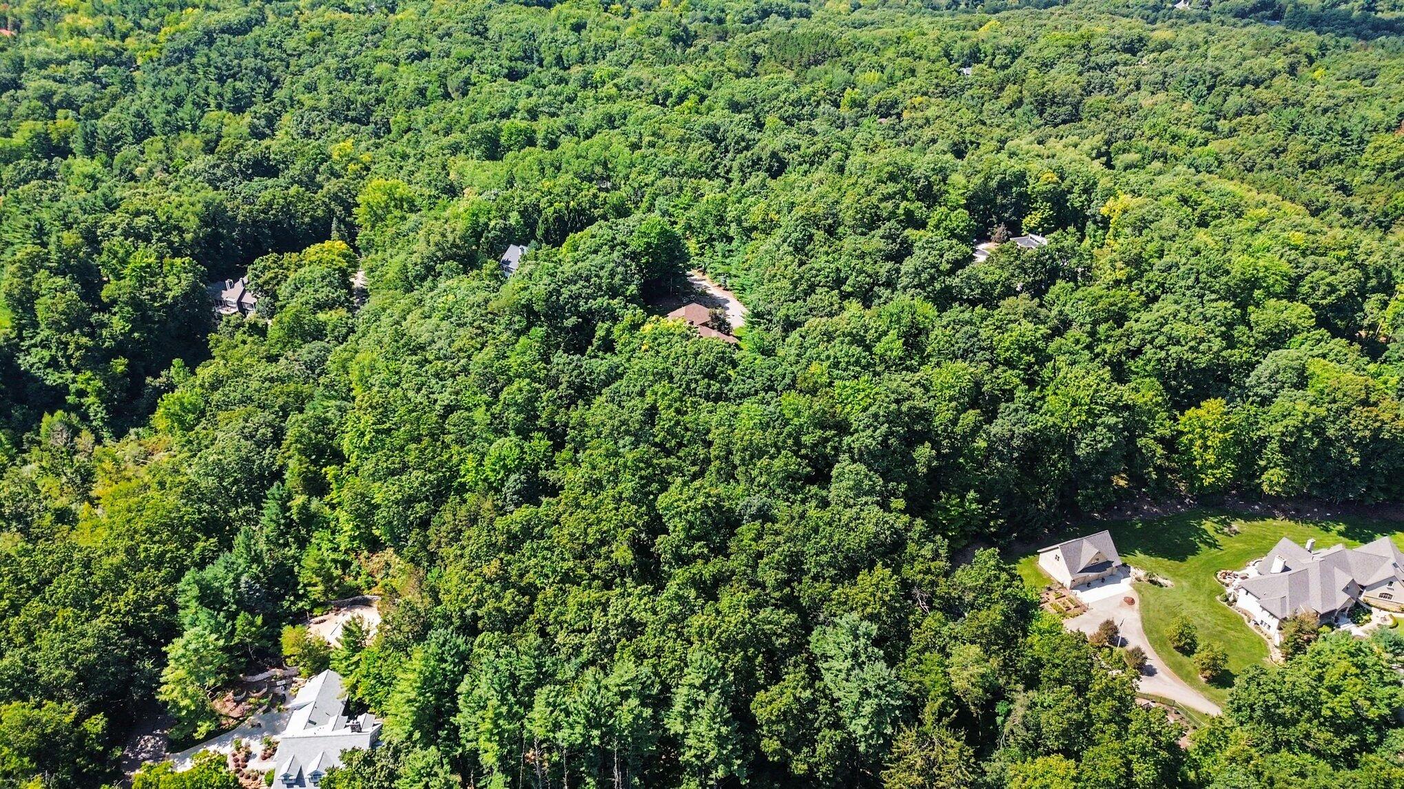 5075 Spring Ridge Drive NE Ada MI 49301