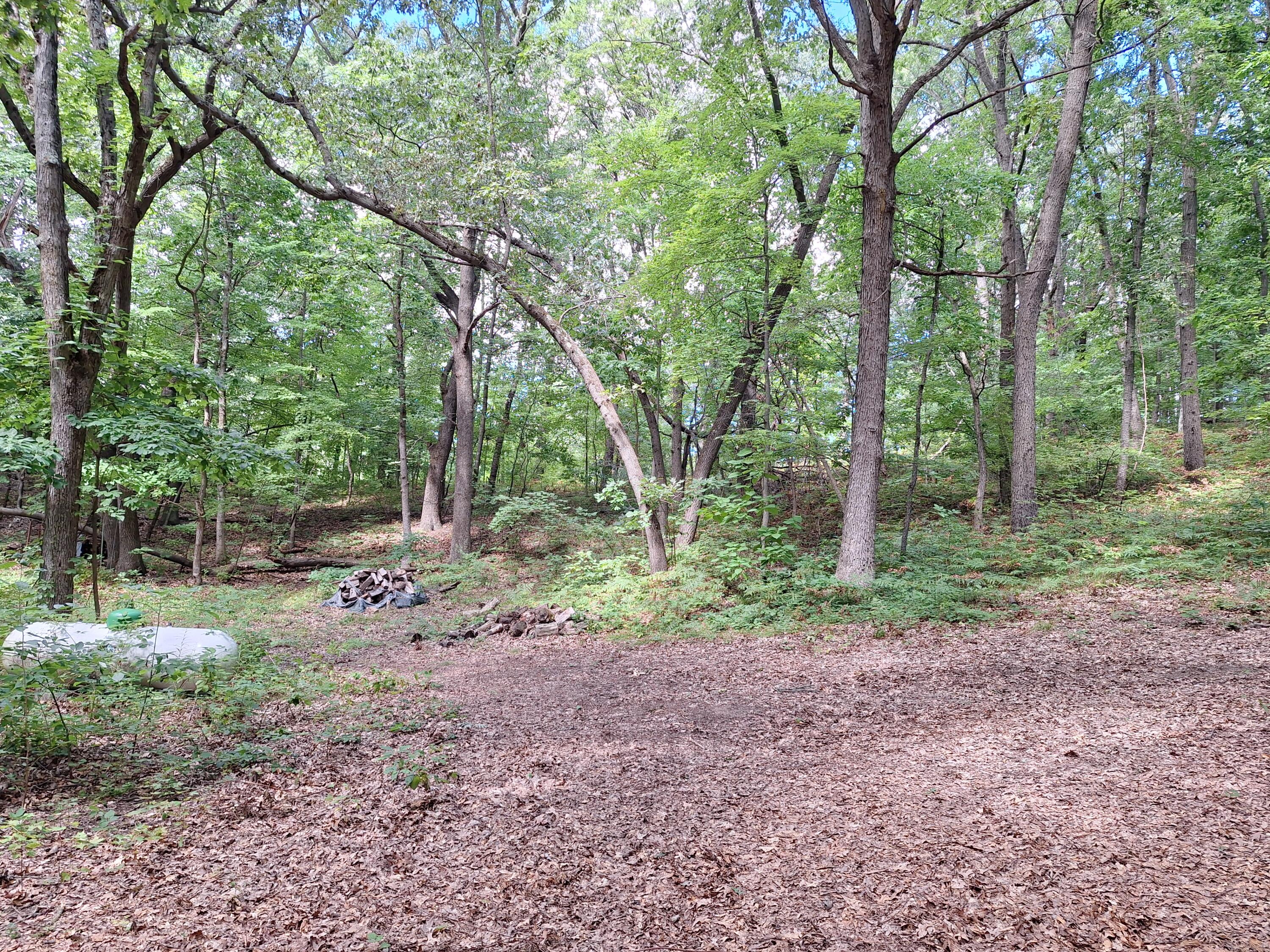 8315 Ramsdell Drive NE Rockford MI 49341