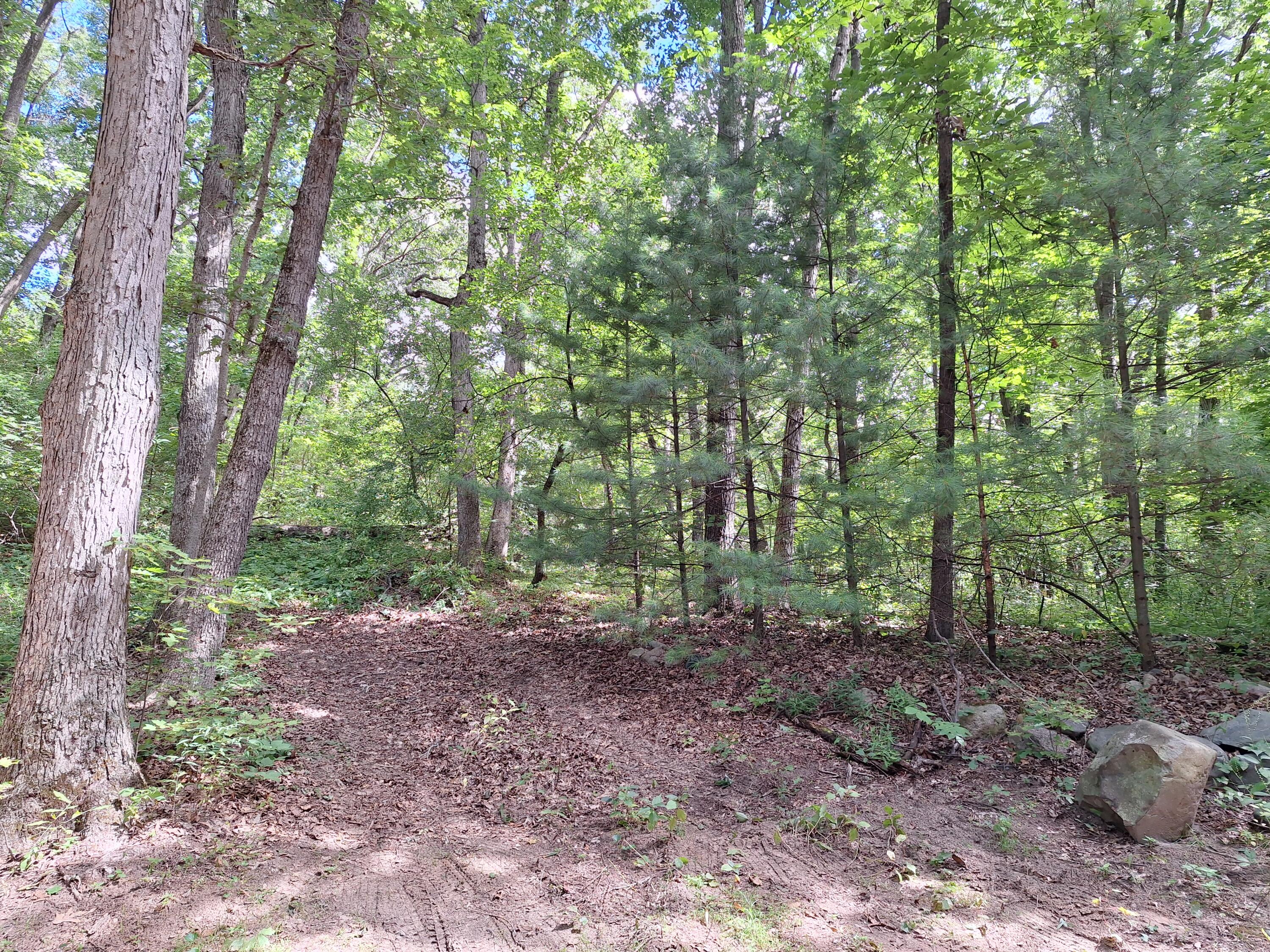 8315 Ramsdell Drive NE Rockford MI 49341