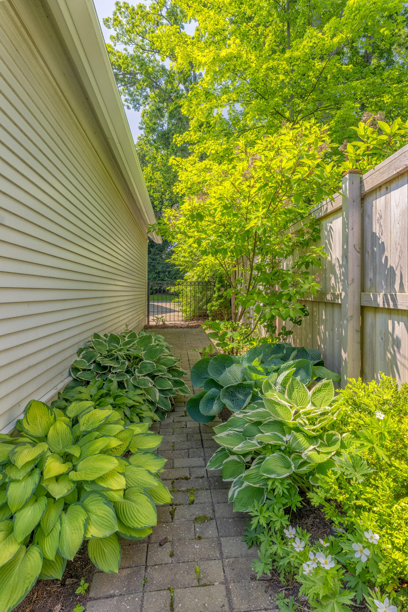 638 Allegan Street Saugatuck MI 49453