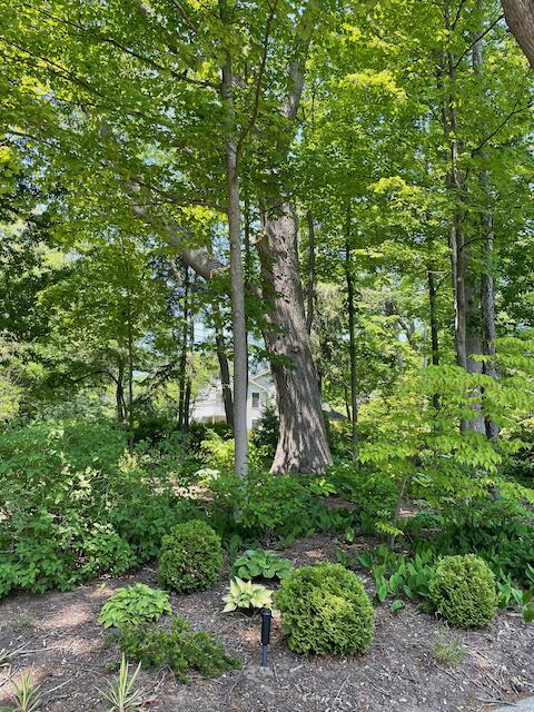 638 Allegan Street Saugatuck MI 49453