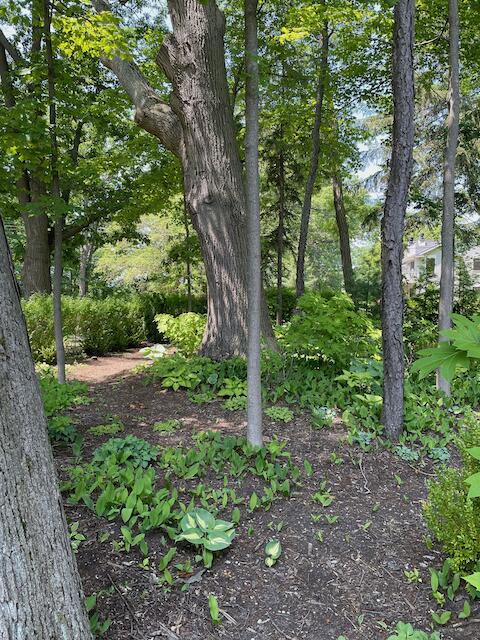 638 Allegan Street Saugatuck MI 49453