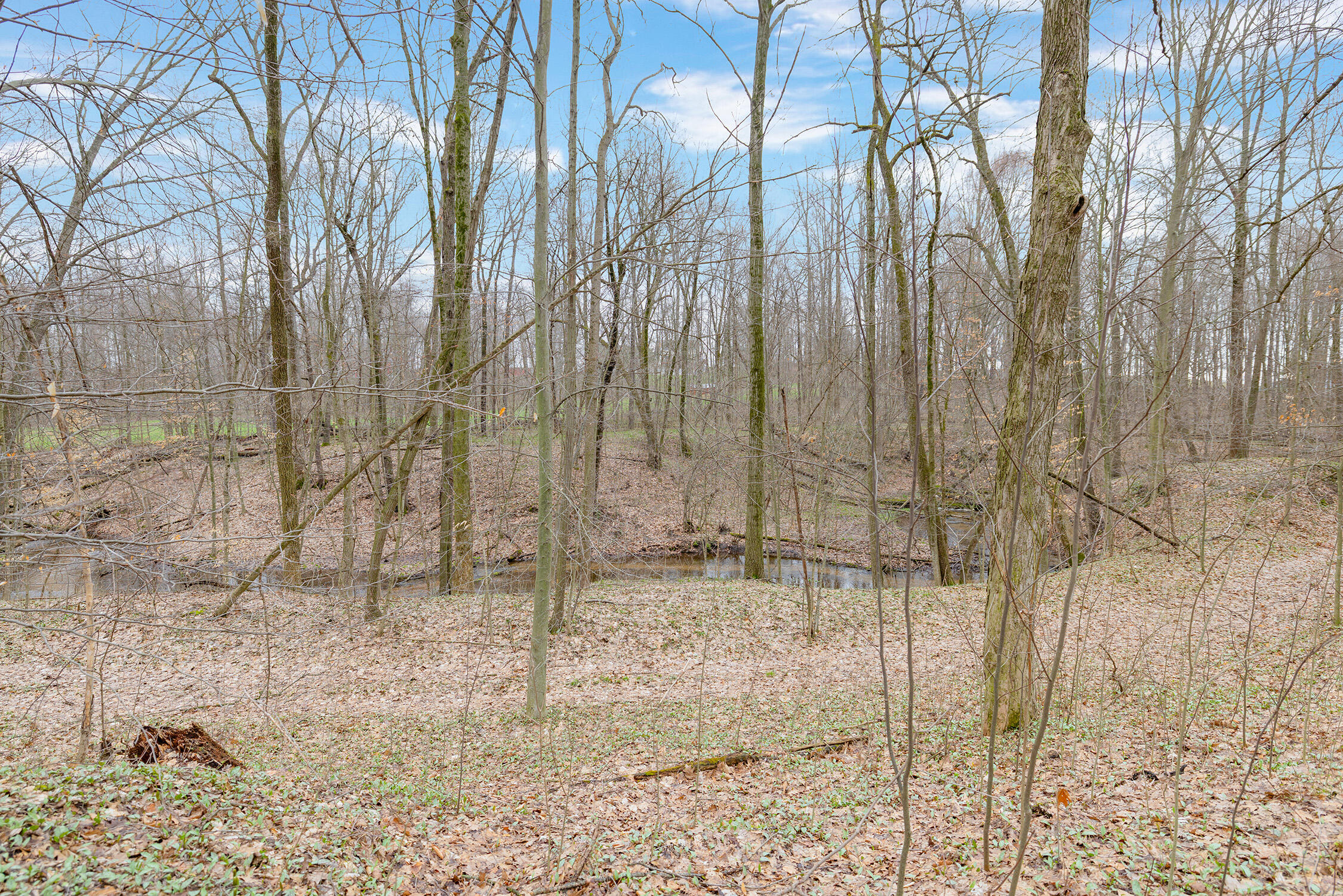 15740 Williamsville Street Vandalia MI 49095