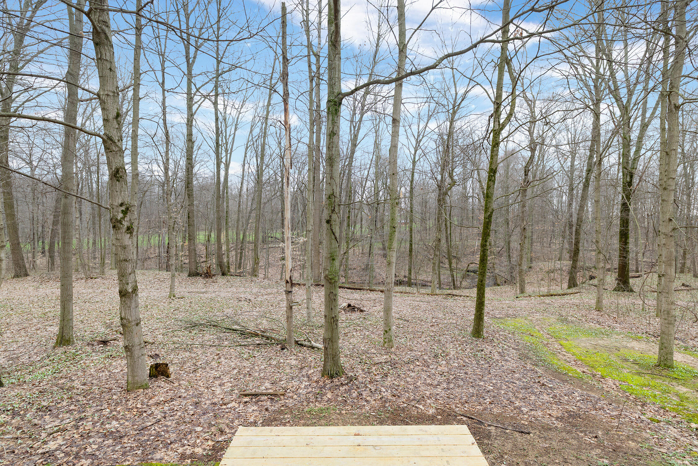 15740 Williamsville Street Vandalia MI 49095