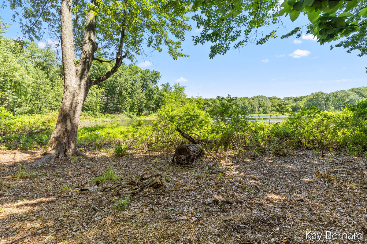1860 Beard Drive SE Grand Rapids MI 49546