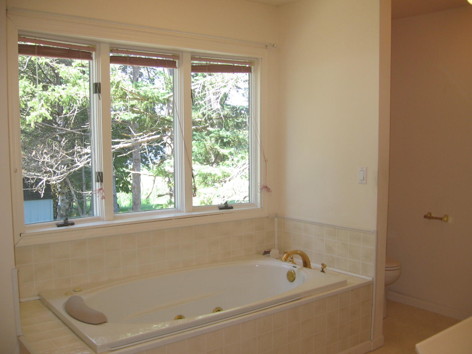 1529 N Betty Avenue Ludington MI 49431