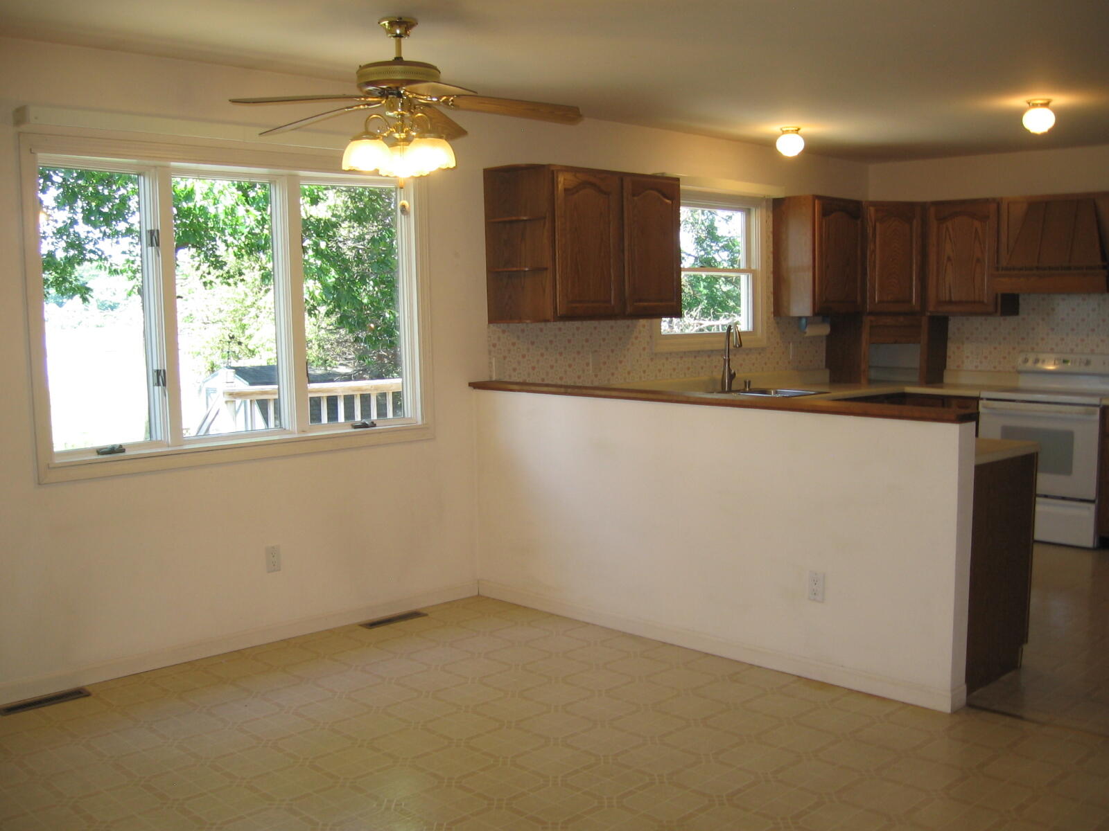 1529 N Betty Avenue Ludington MI 49431