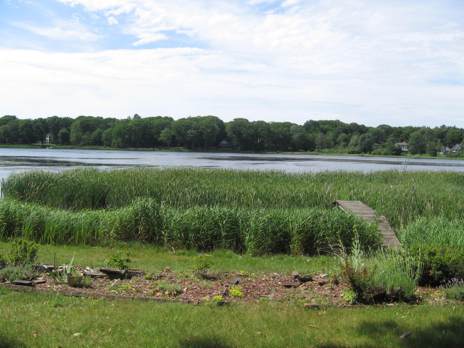 1529 N Betty Avenue Ludington MI 49431