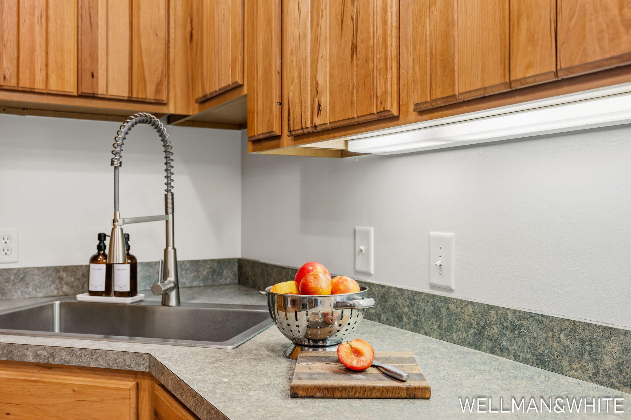 2675 Chestnut Lane Fennville MI 49408