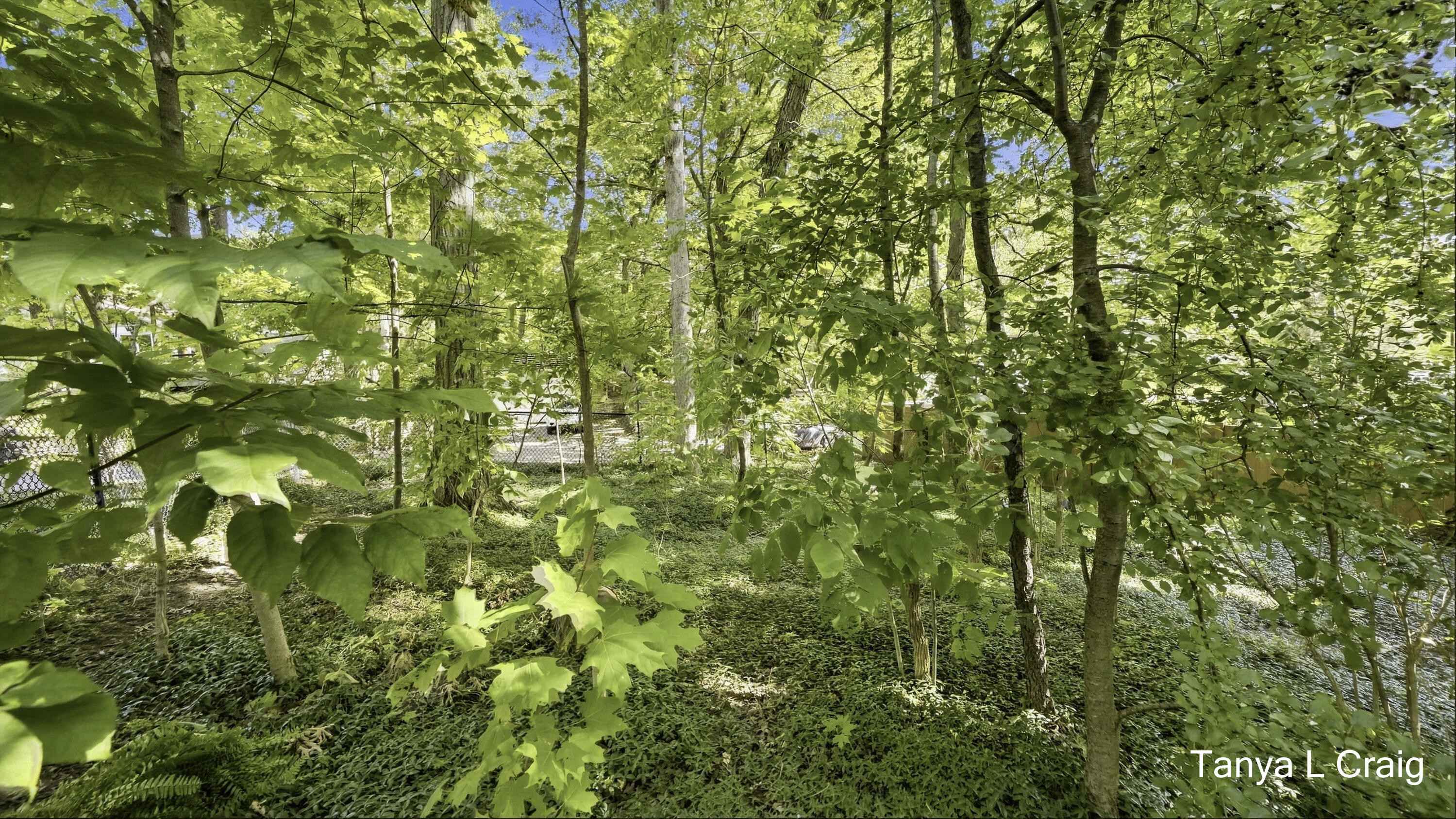 3652 Reeds Lake Boulevard SE Grand Rapids MI 49506