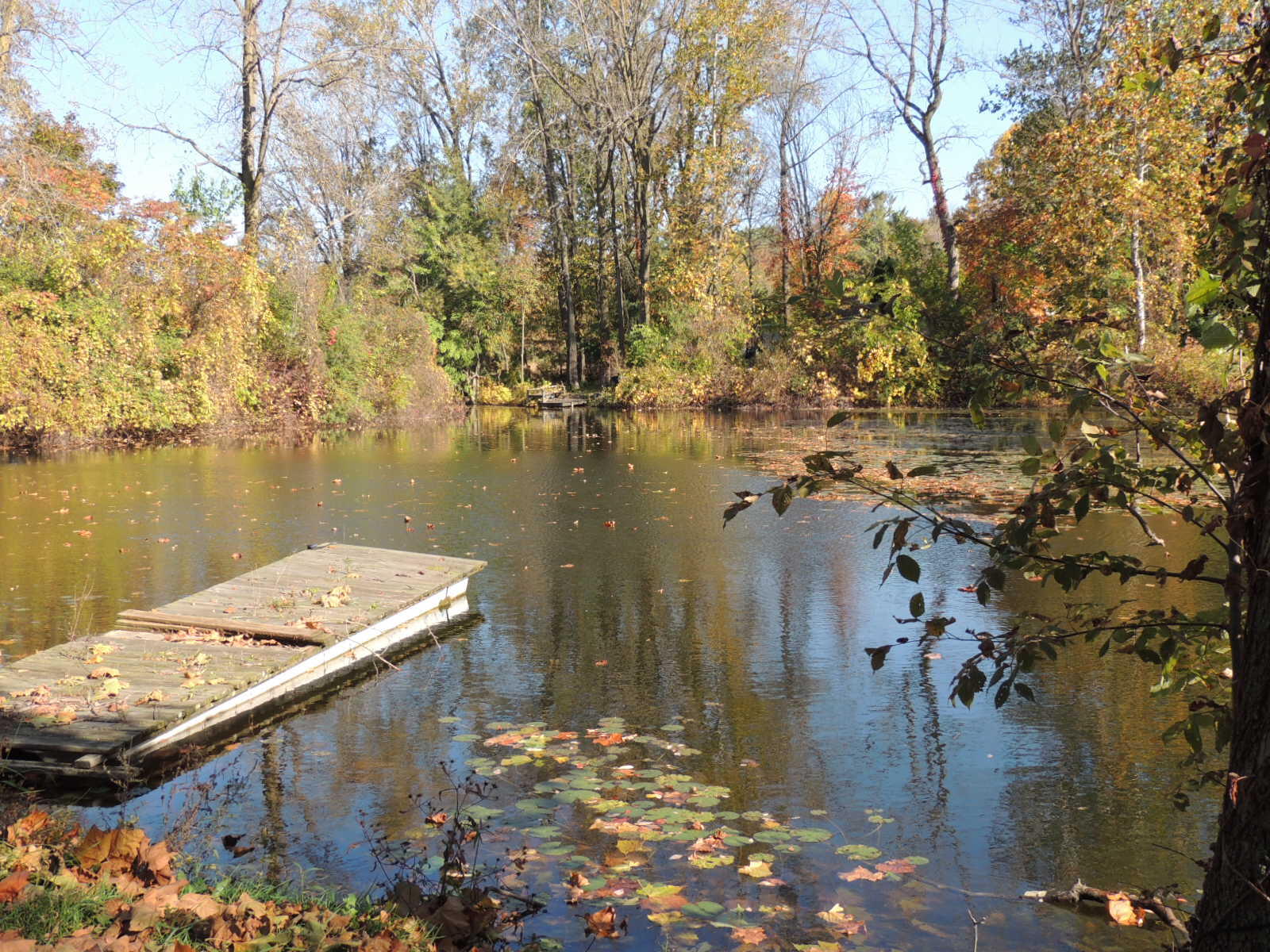 2507 Beach Court Allegan MI 49010