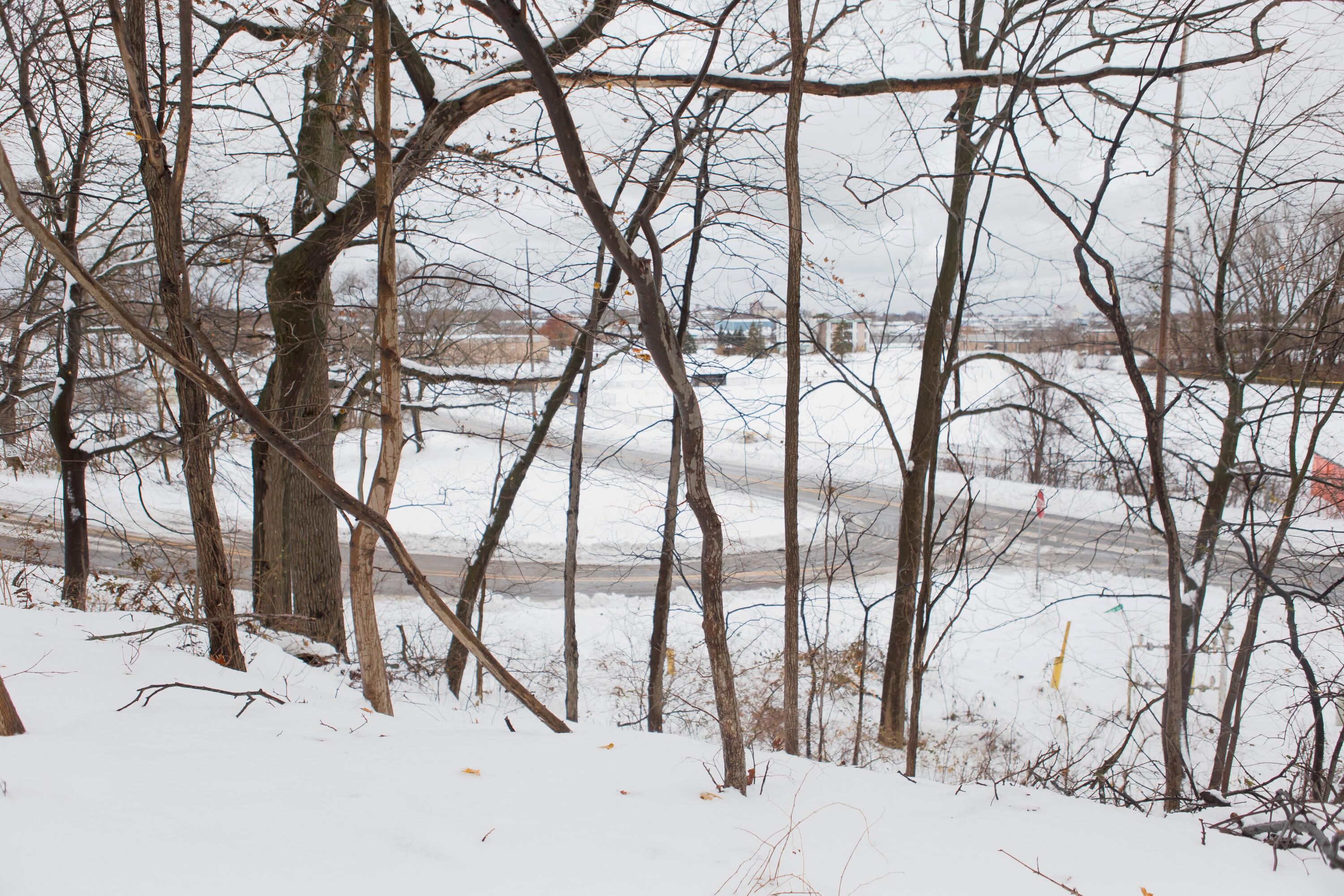 298 W Empire Avenue Benton Harbor MI 49022