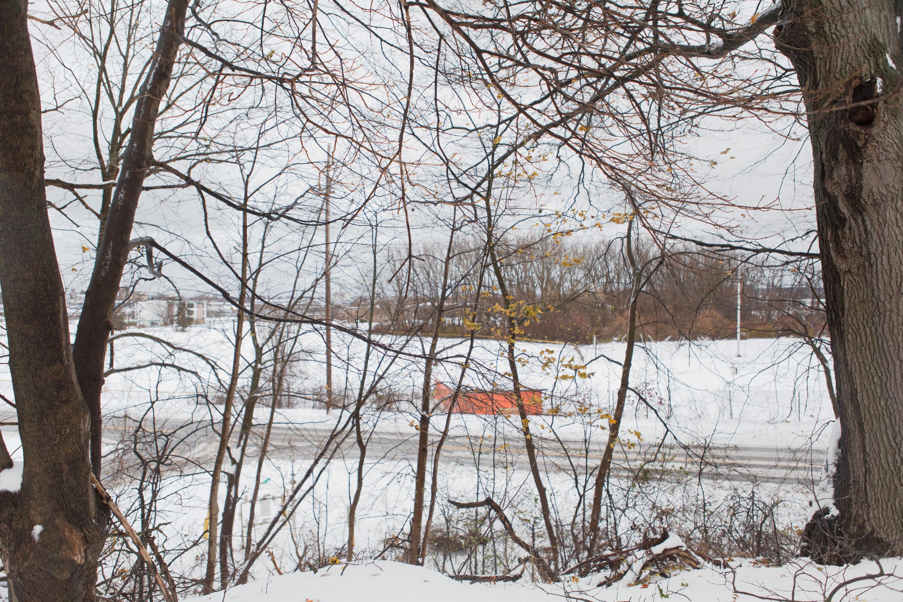 298 W Empire Avenue Benton Harbor MI 49022