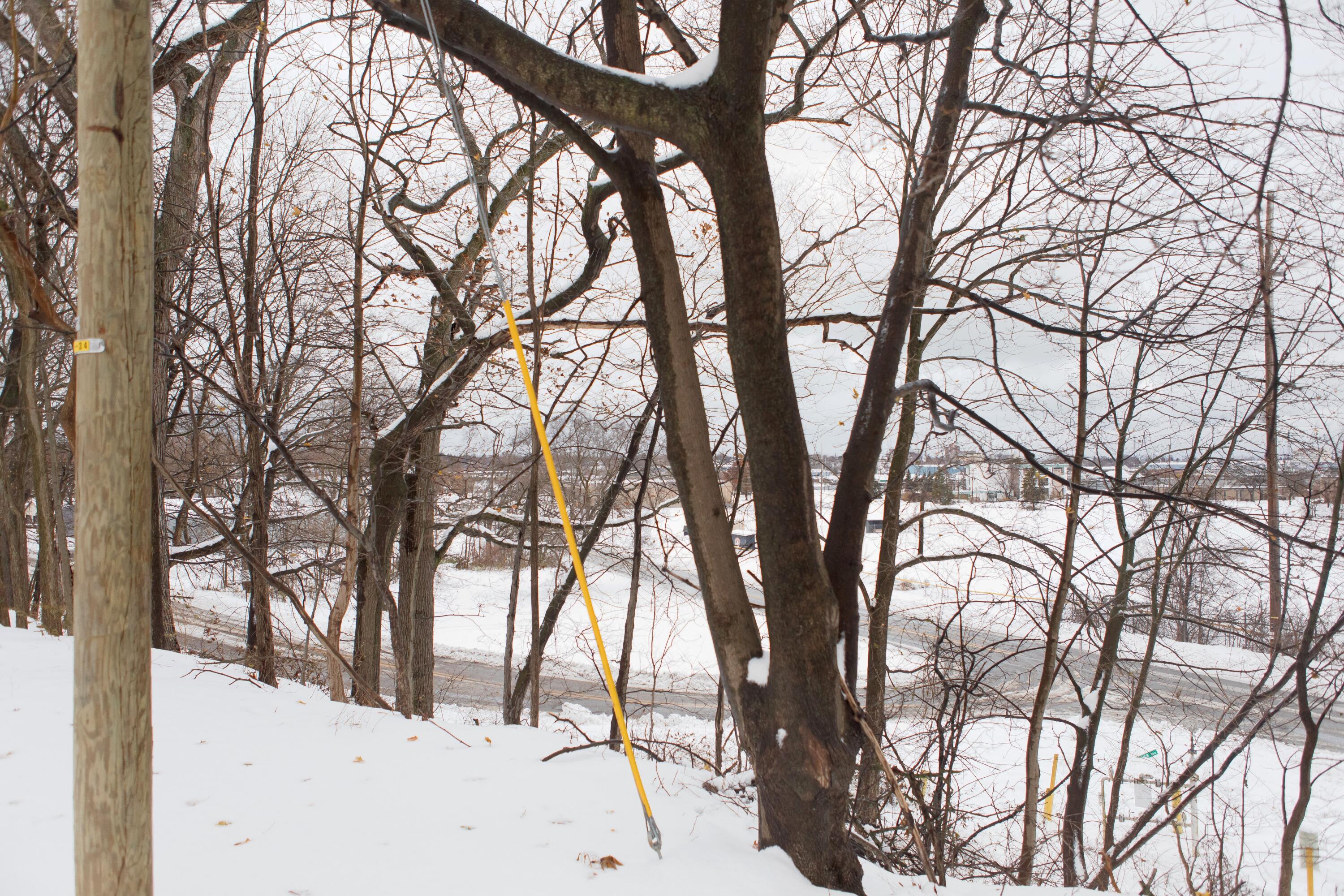 298 W Empire Avenue Benton Harbor MI 49022