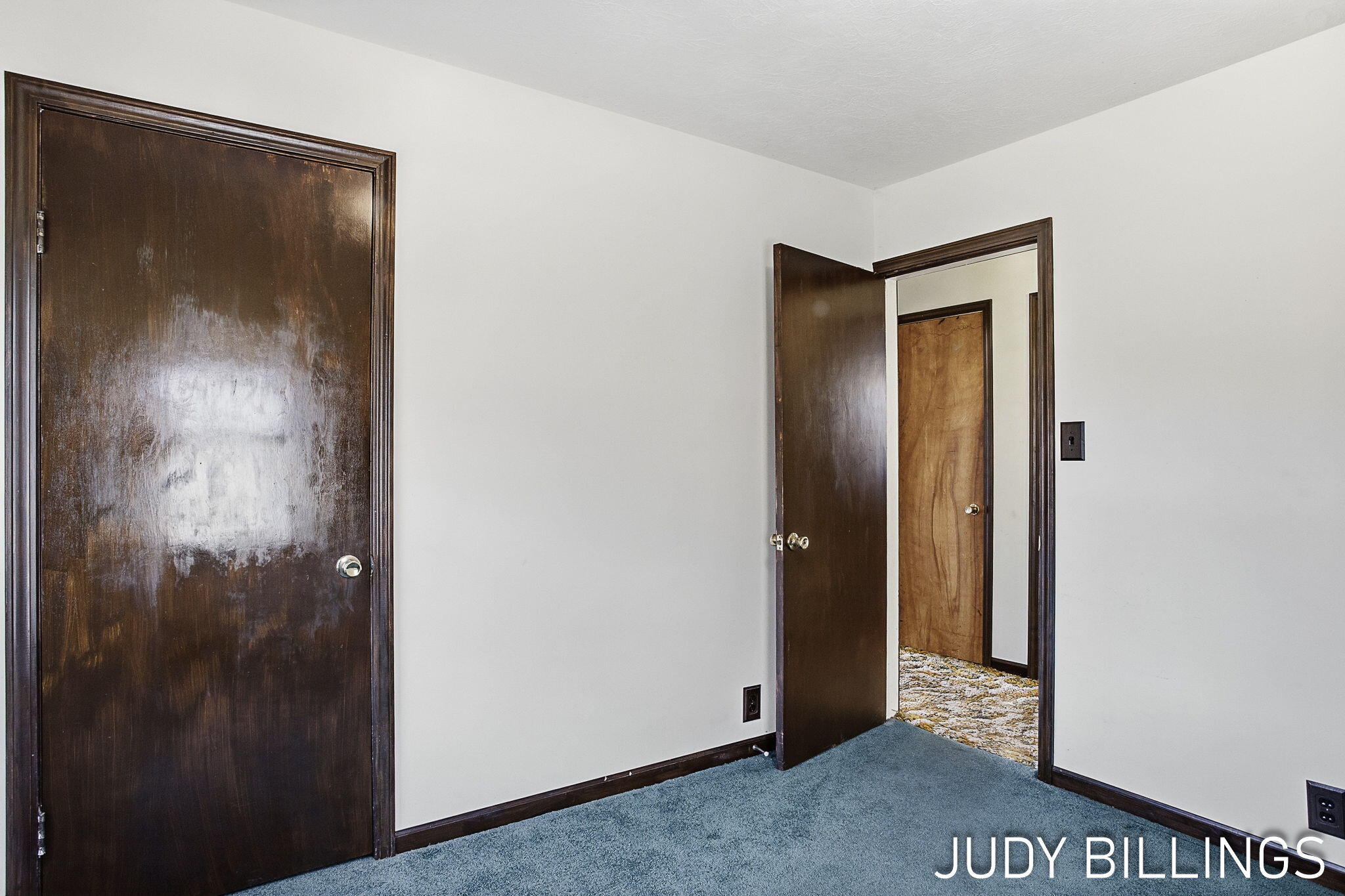 1501 68th Street Fennville MI 49408