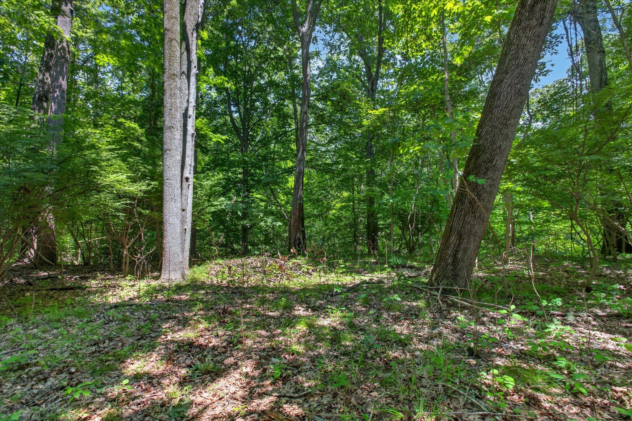 7110 Horseshoe Drive Three Oaks MI 49128