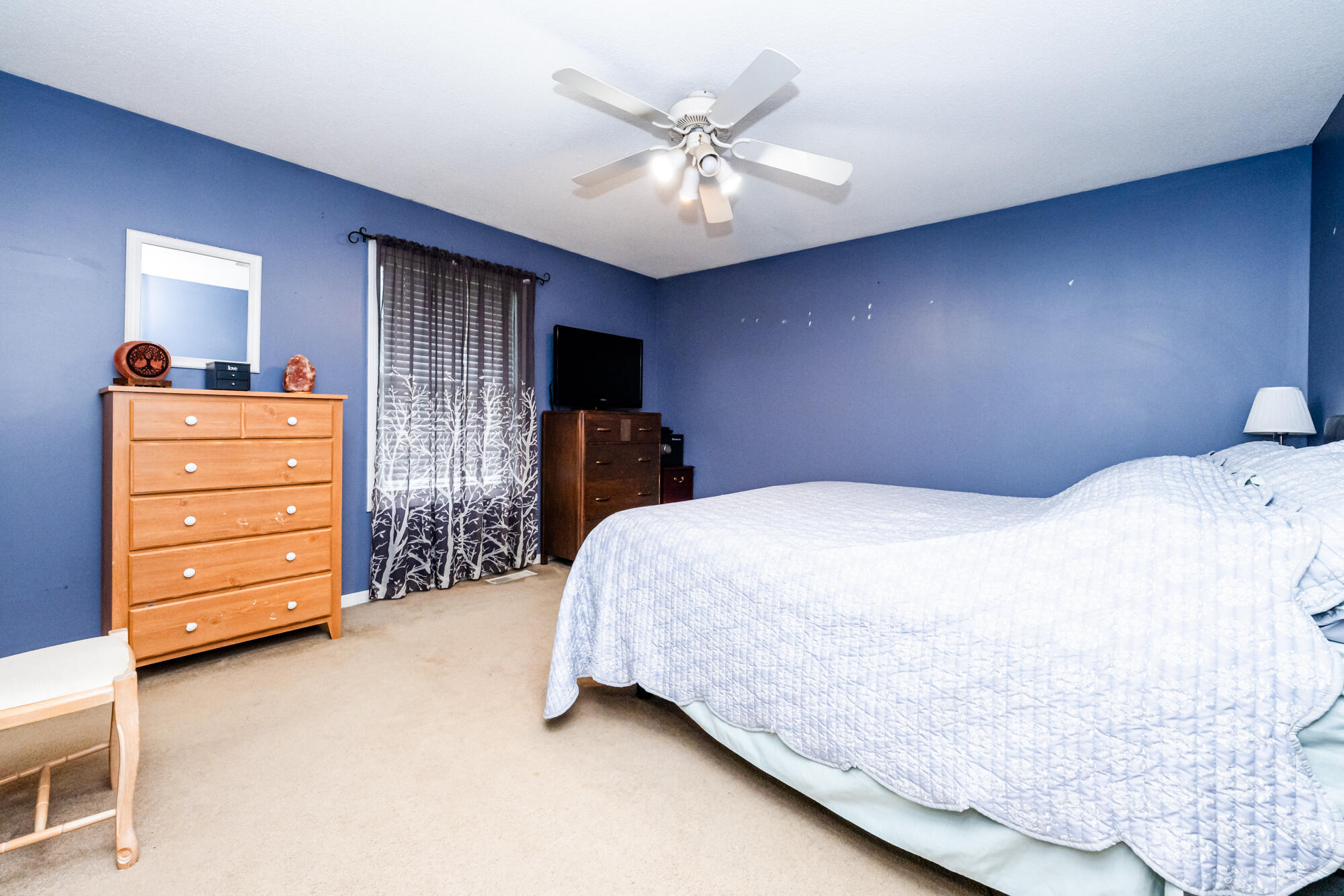 6515 Niagara Circle Stevensville MI 49127