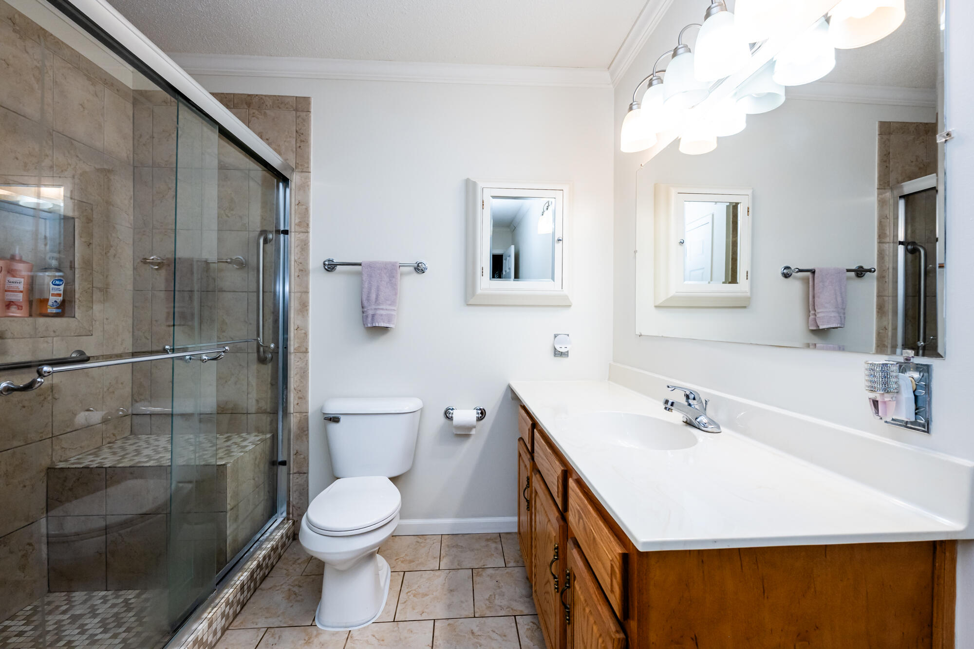 6515 Niagara Circle Stevensville MI 49127