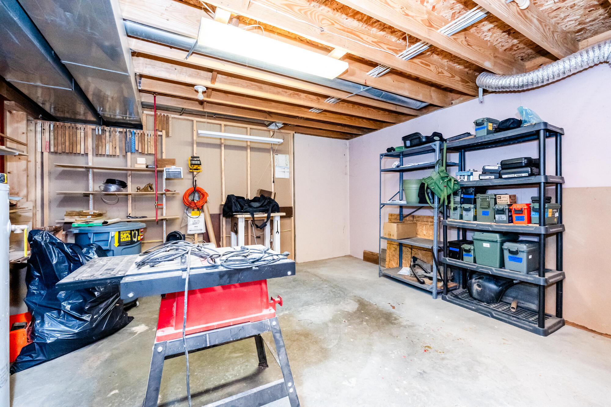 6515 Niagara Circle Stevensville MI 49127