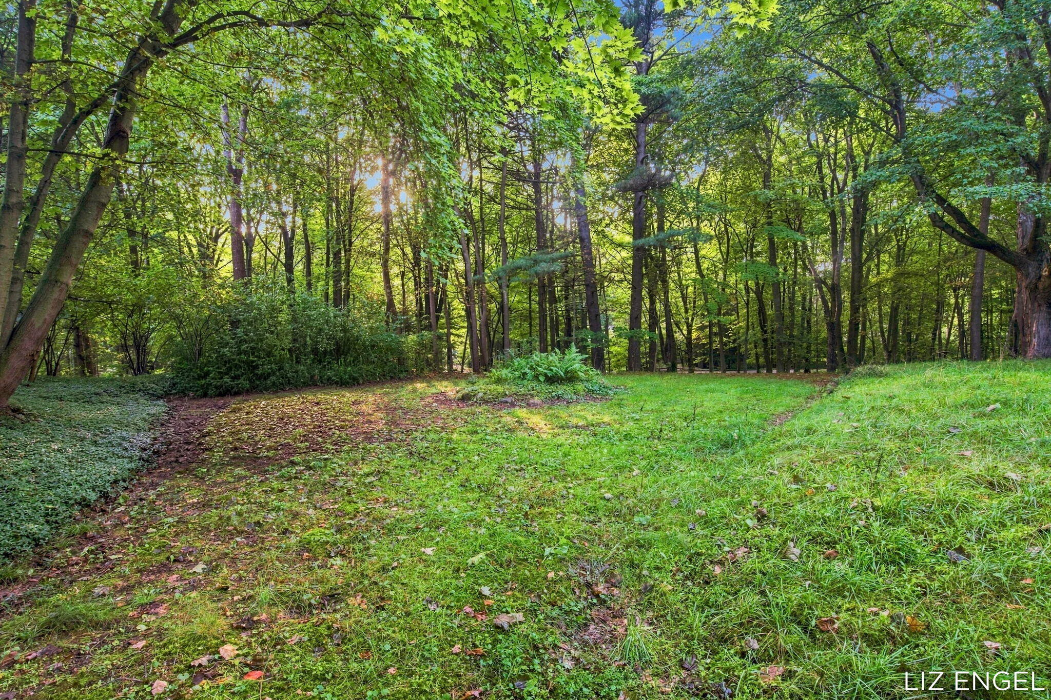 2309 Forest Trail Circle Fennville MI 49408