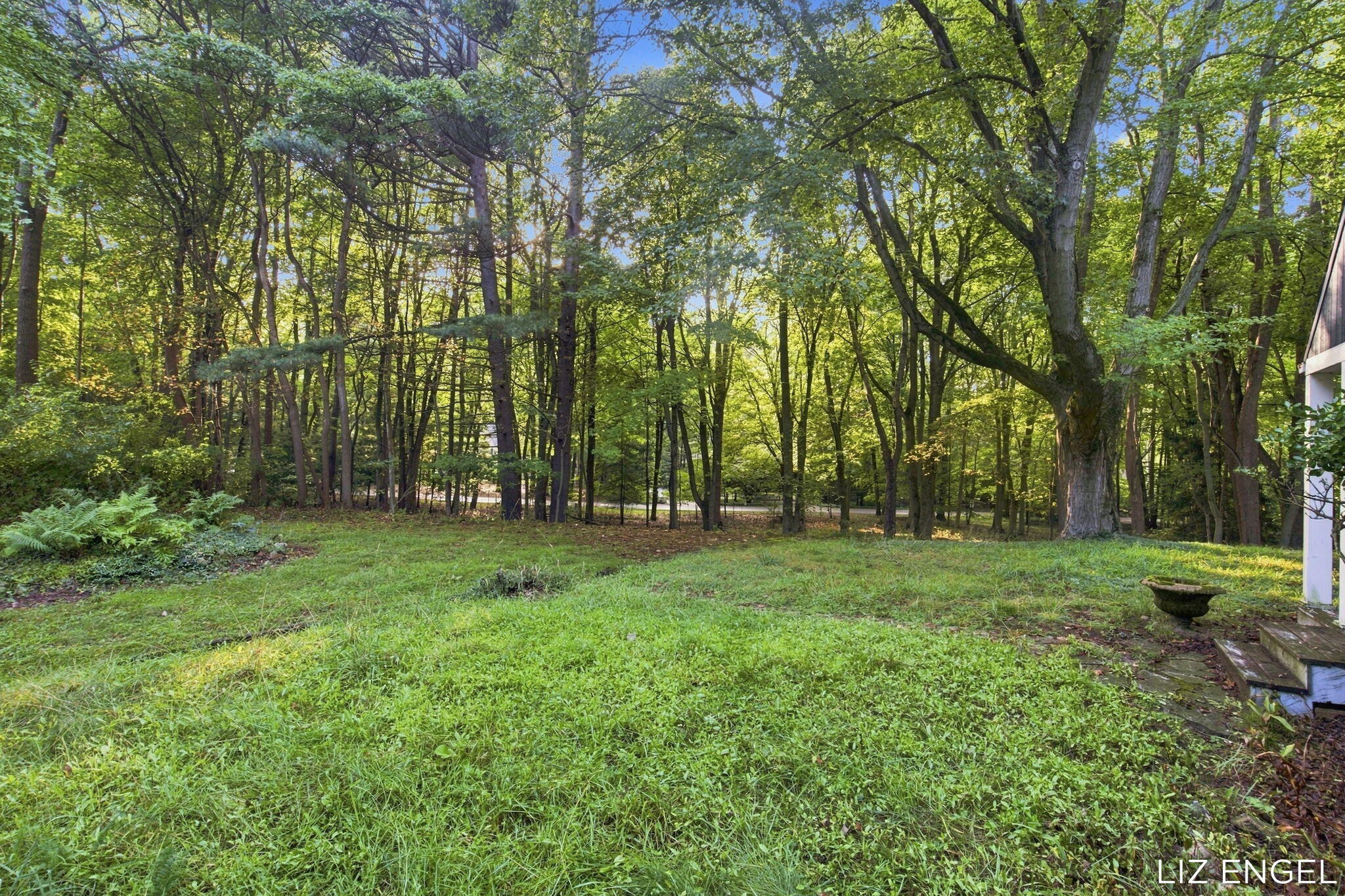 2309 Forest Trail Circle Fennville MI 49408