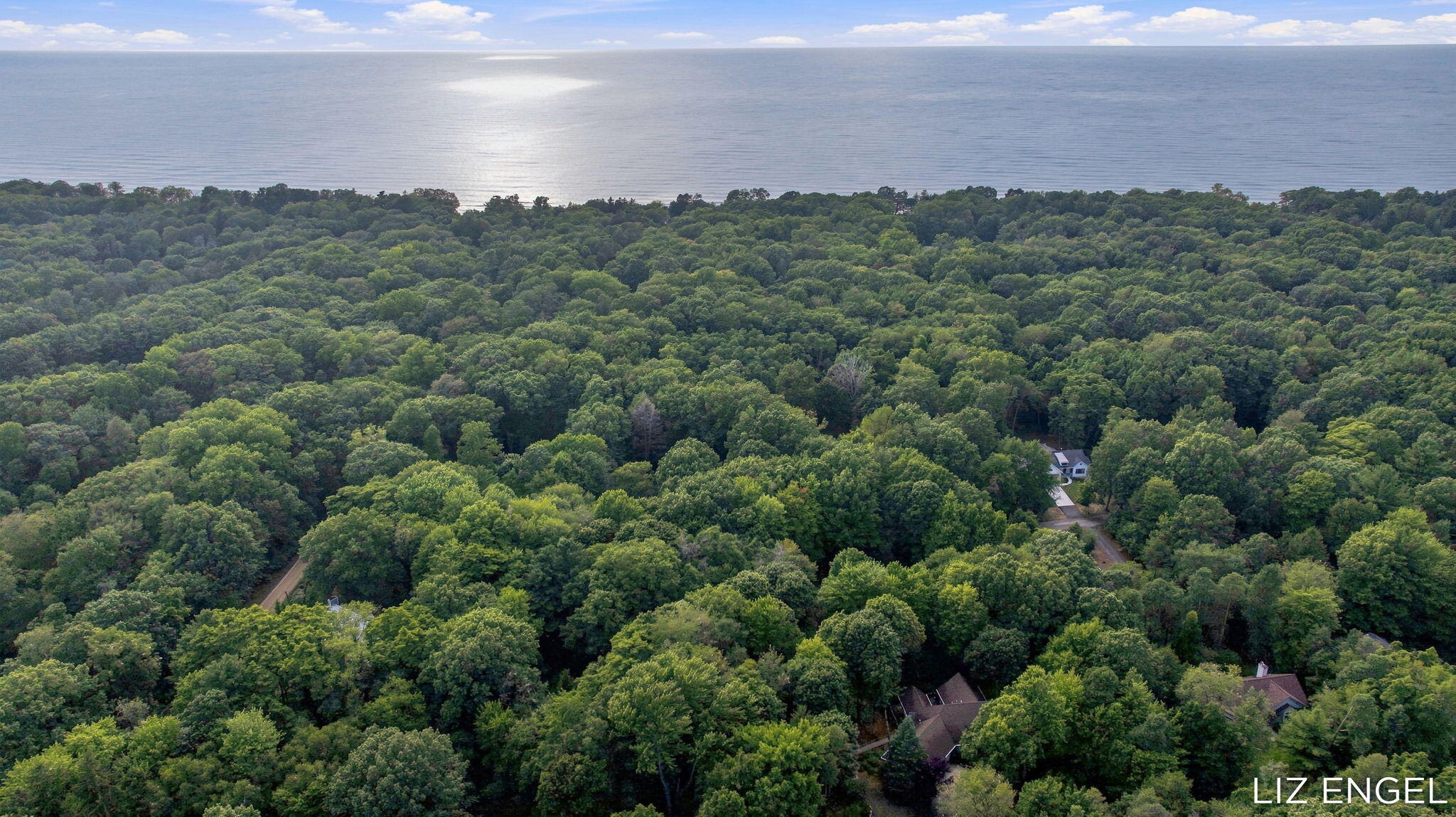 2309 Forest Trail Circle Fennville MI 49408
