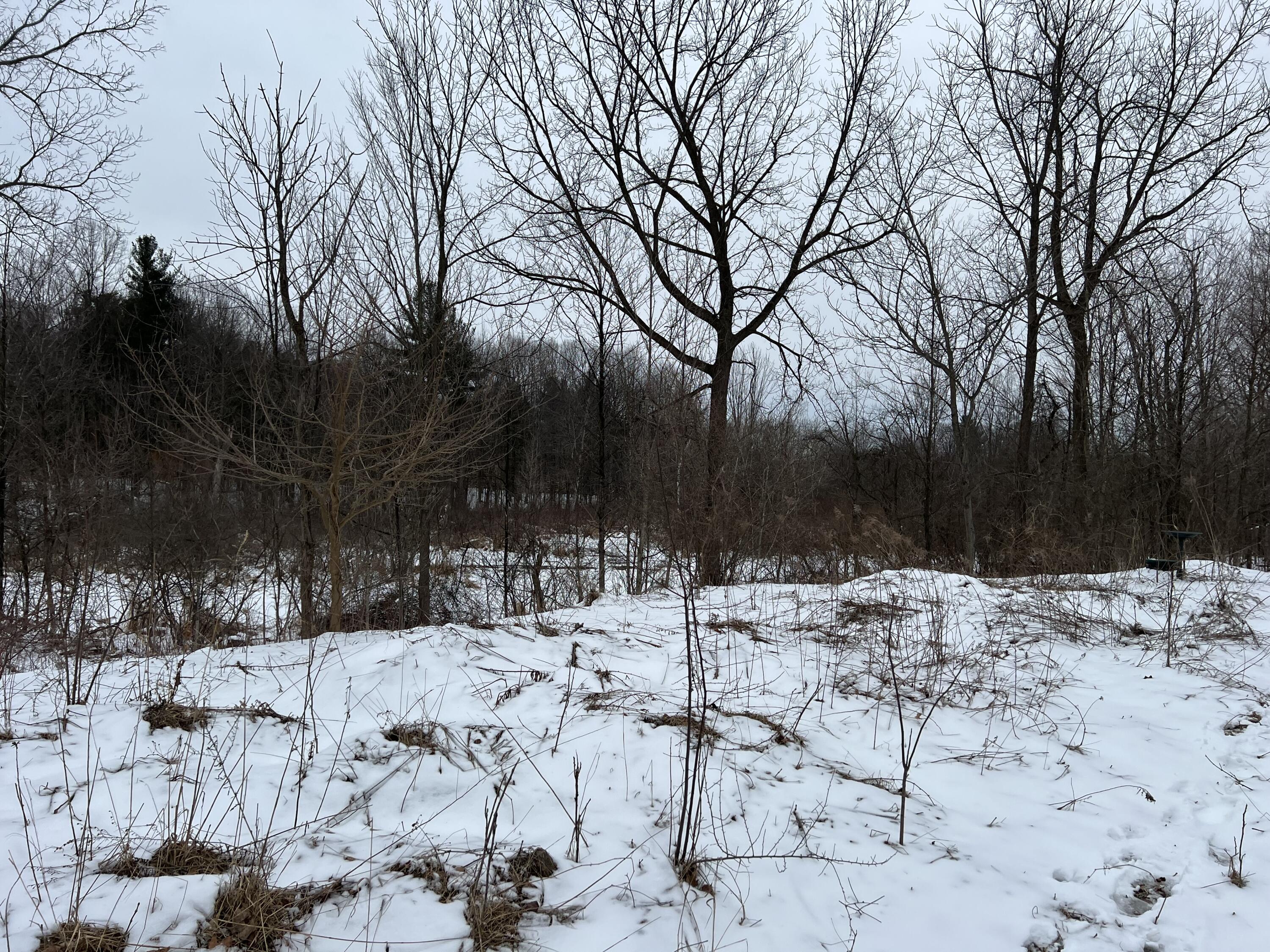 01275 47 1/2 Street Grand Junction MI 49056