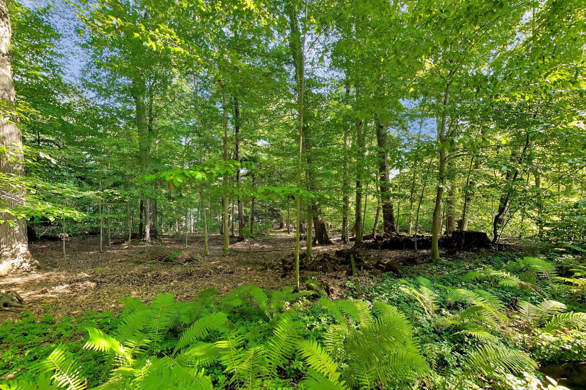 7043 Sand Dune Drive Sawyer MI 49125