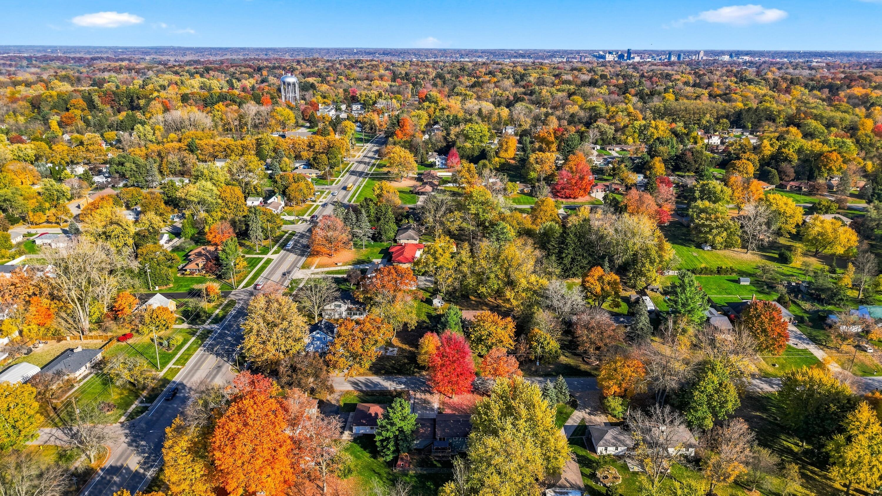 1165 Brownwood Avenue NW Grand Rapids MI 49504