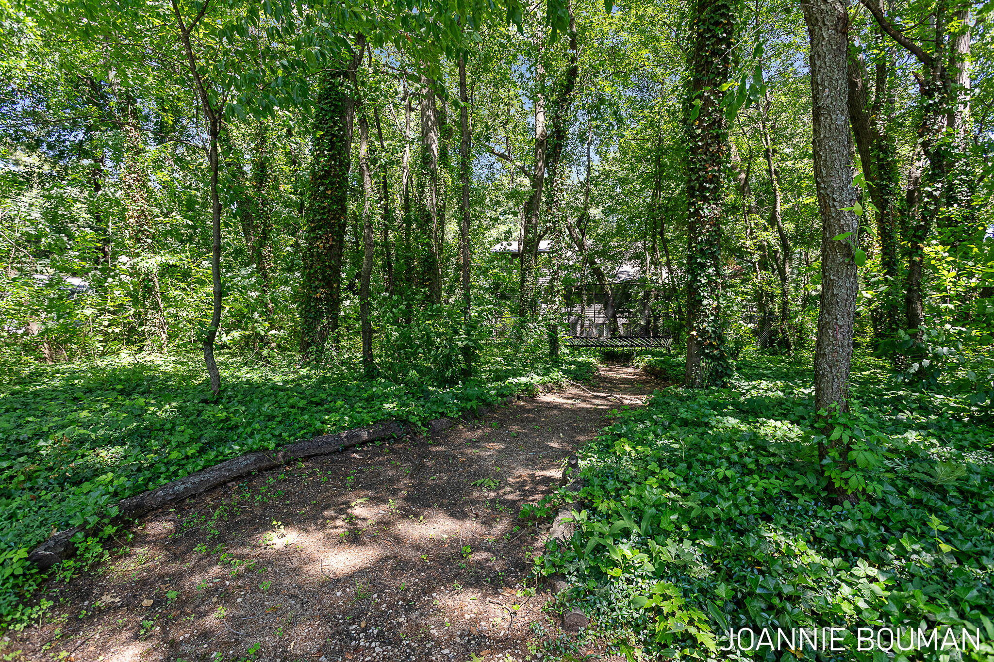 792 Pine Bay Avenue Holland MI 49424