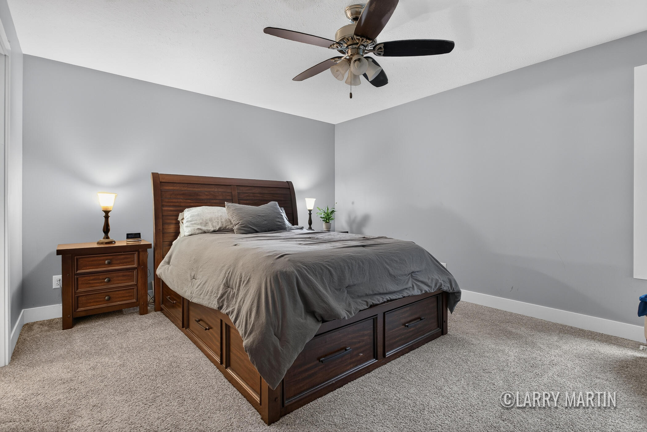 13437 Young Forest Court West Olive MI 49460