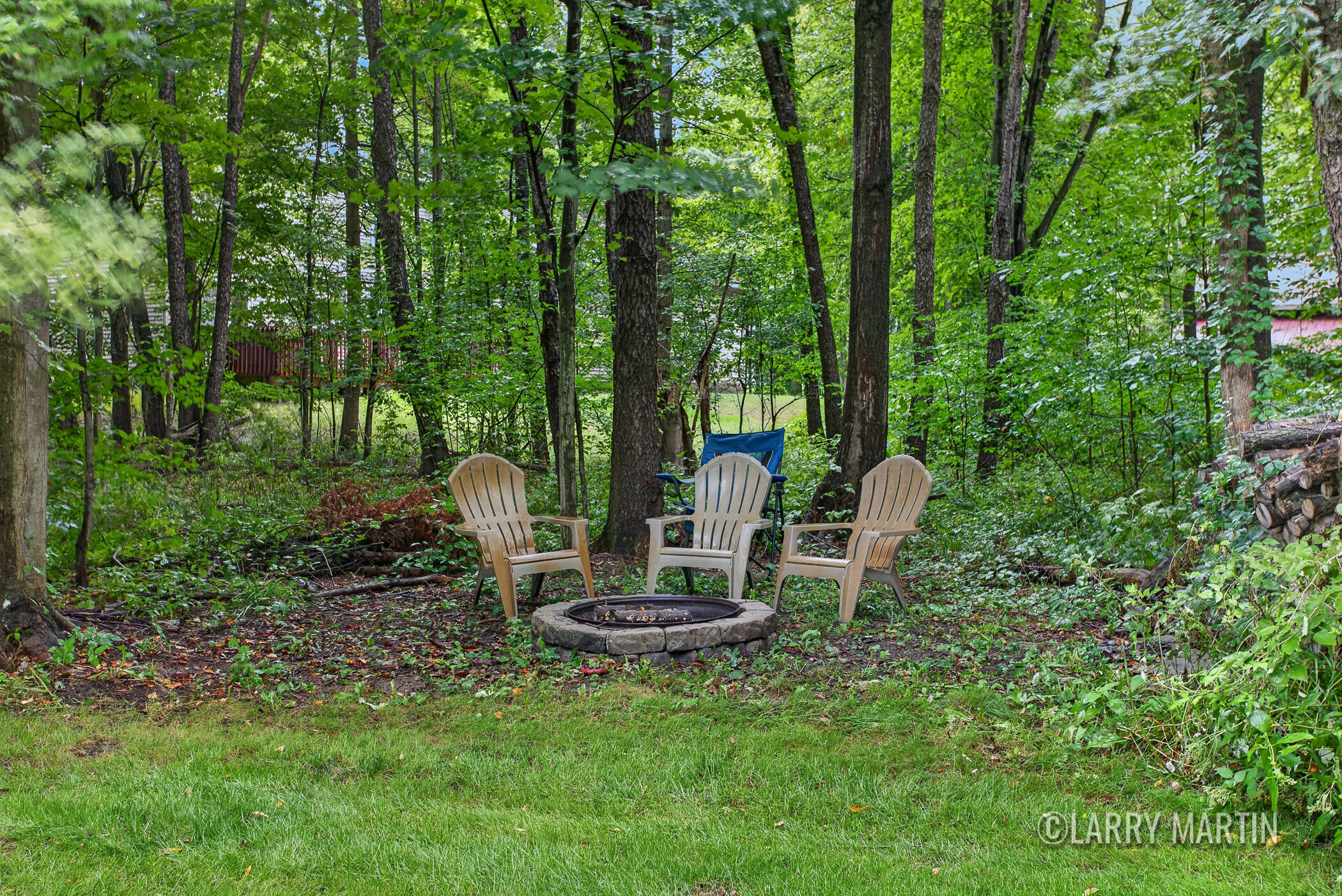 13437 Young Forest Court West Olive MI 49460