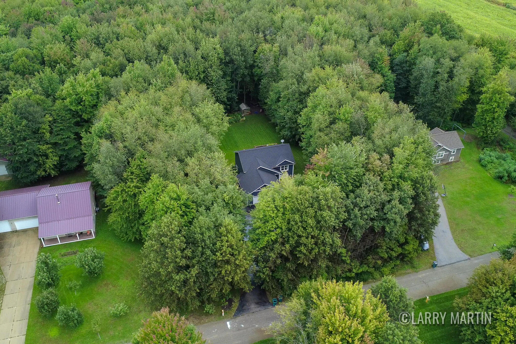 13437 Young Forest Court West Olive MI 49460