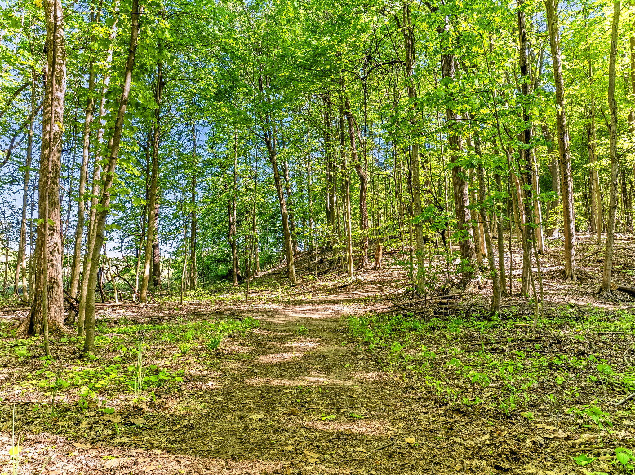 2099 E Clear Lake Road Buchanan MI 49107