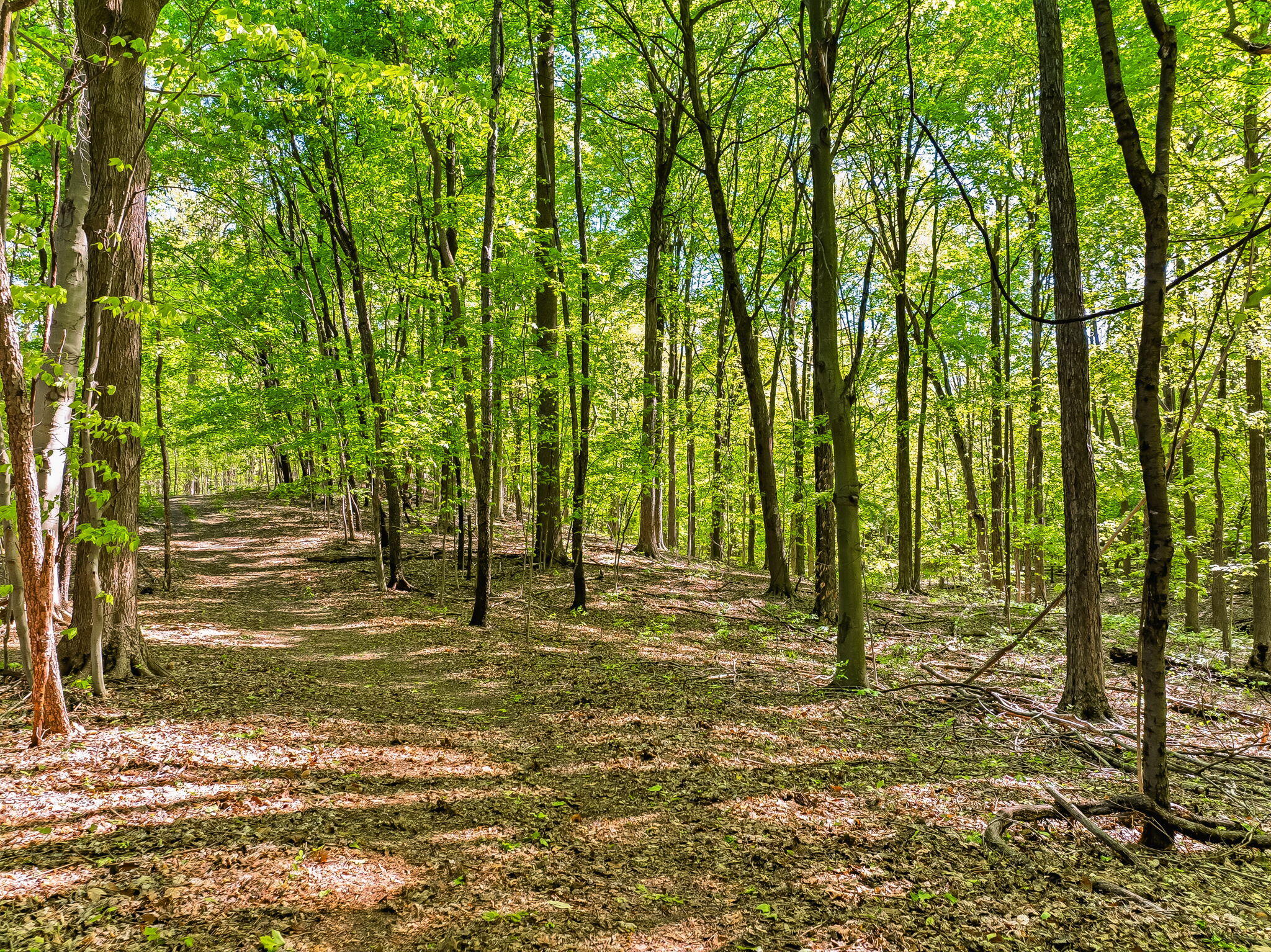 2099 E Clear Lake Road Buchanan MI 49107