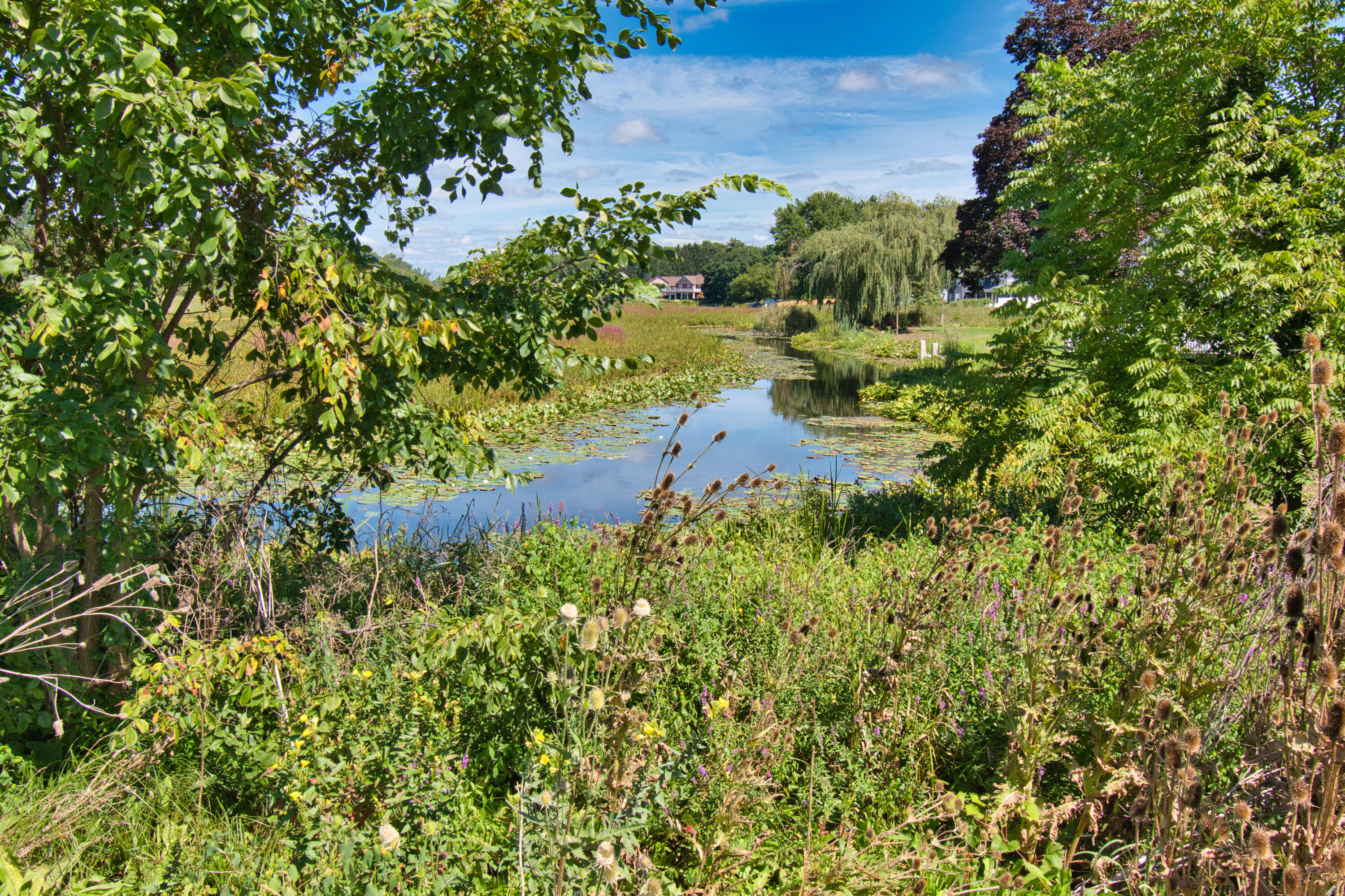 22244 Us-12 Edwardsburg MI 49112