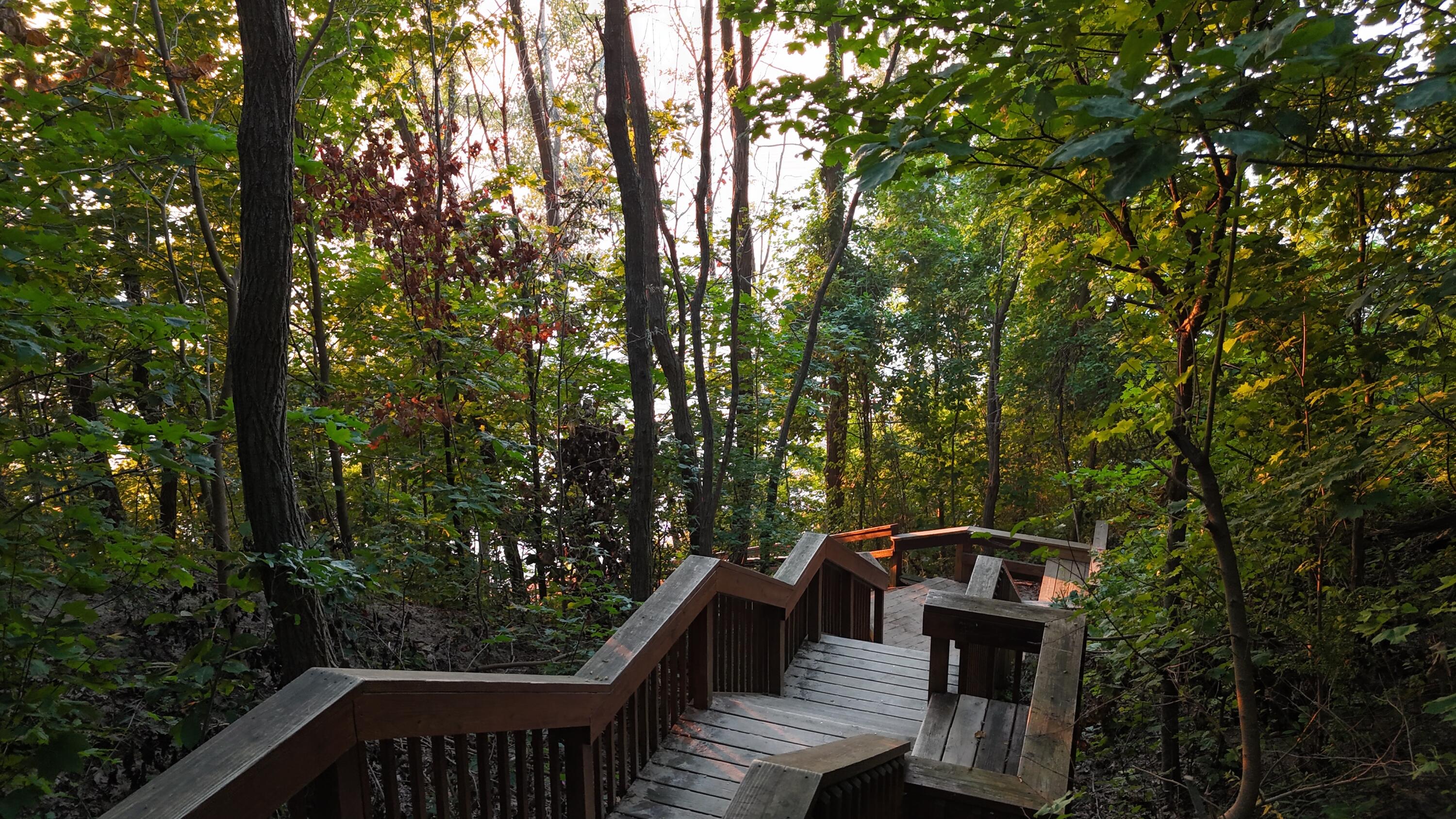5193 Oak Coloma MI 49038