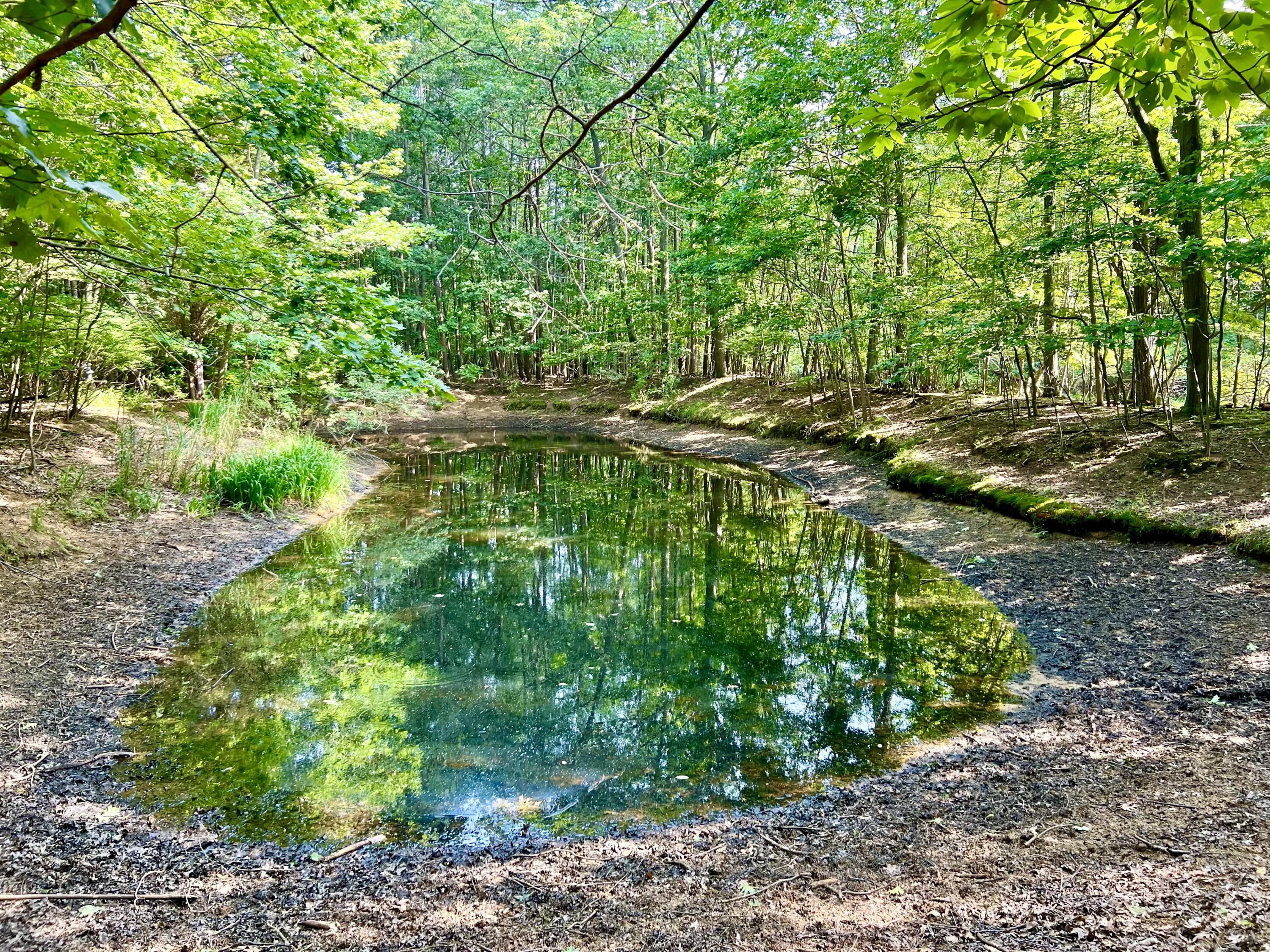 1735 N Darling Lane Fennville MI 49408