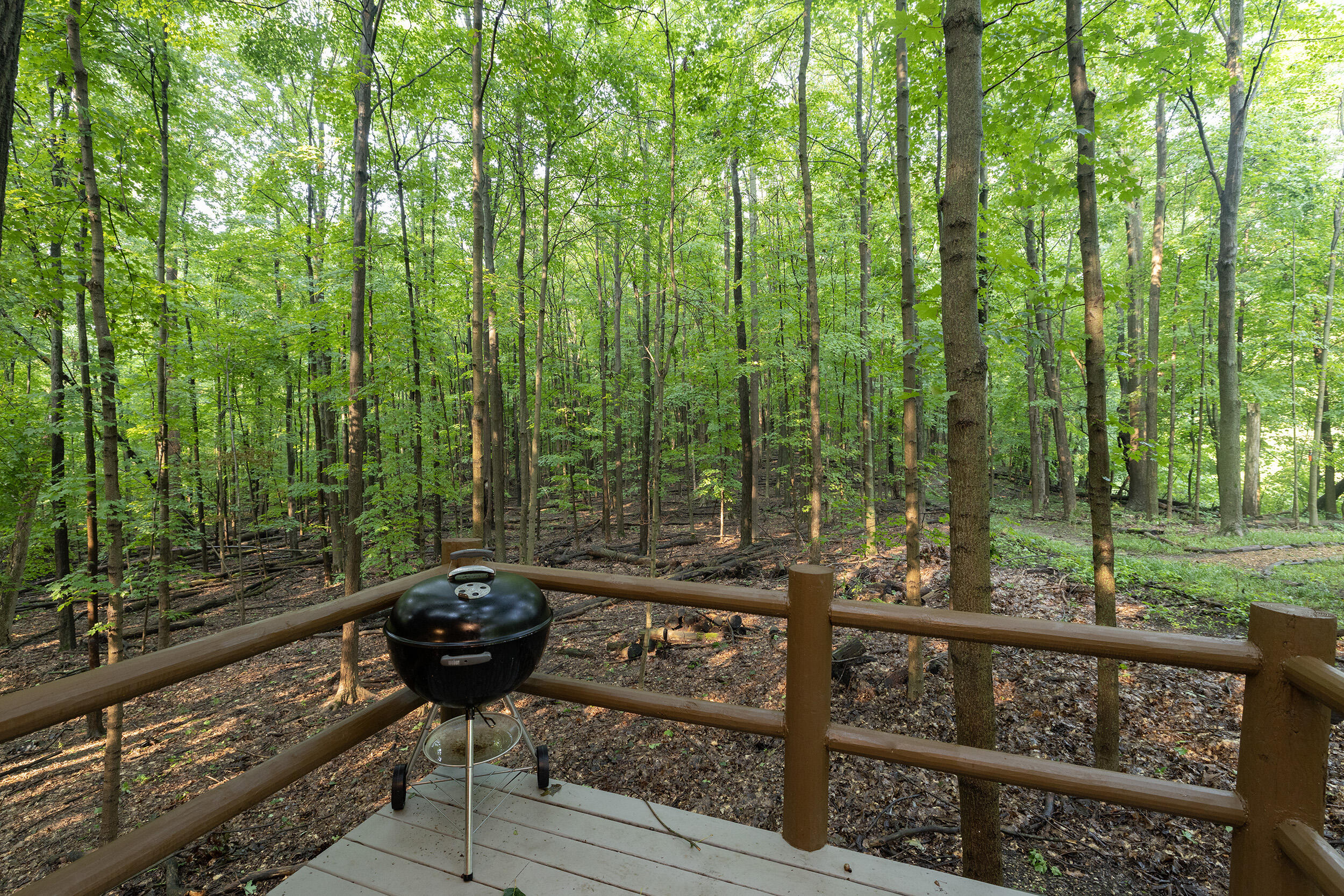 332 Charlestown Colony Buchanan MI 49107