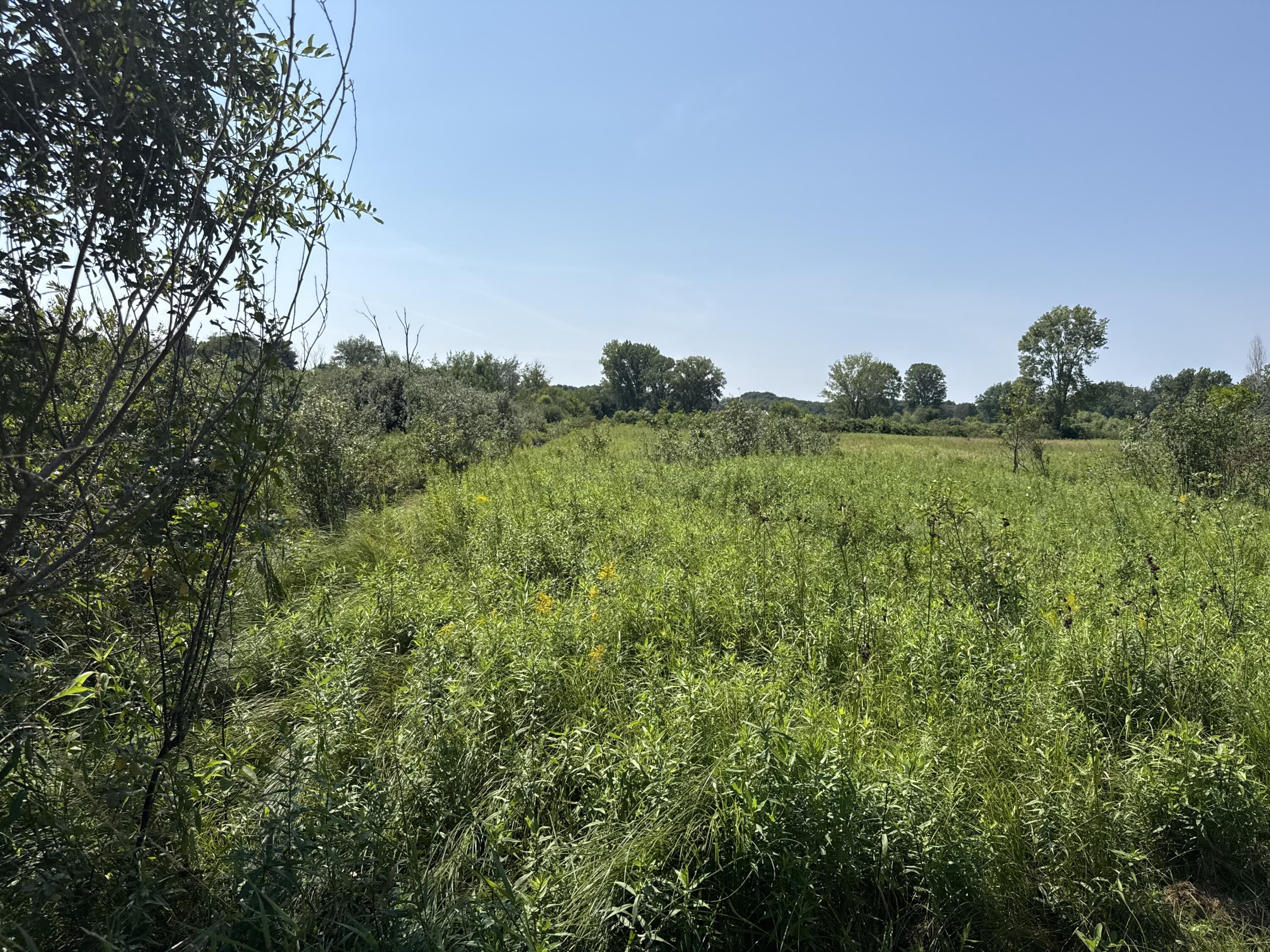 1306 122nd Avenue Hopkins MI 49328