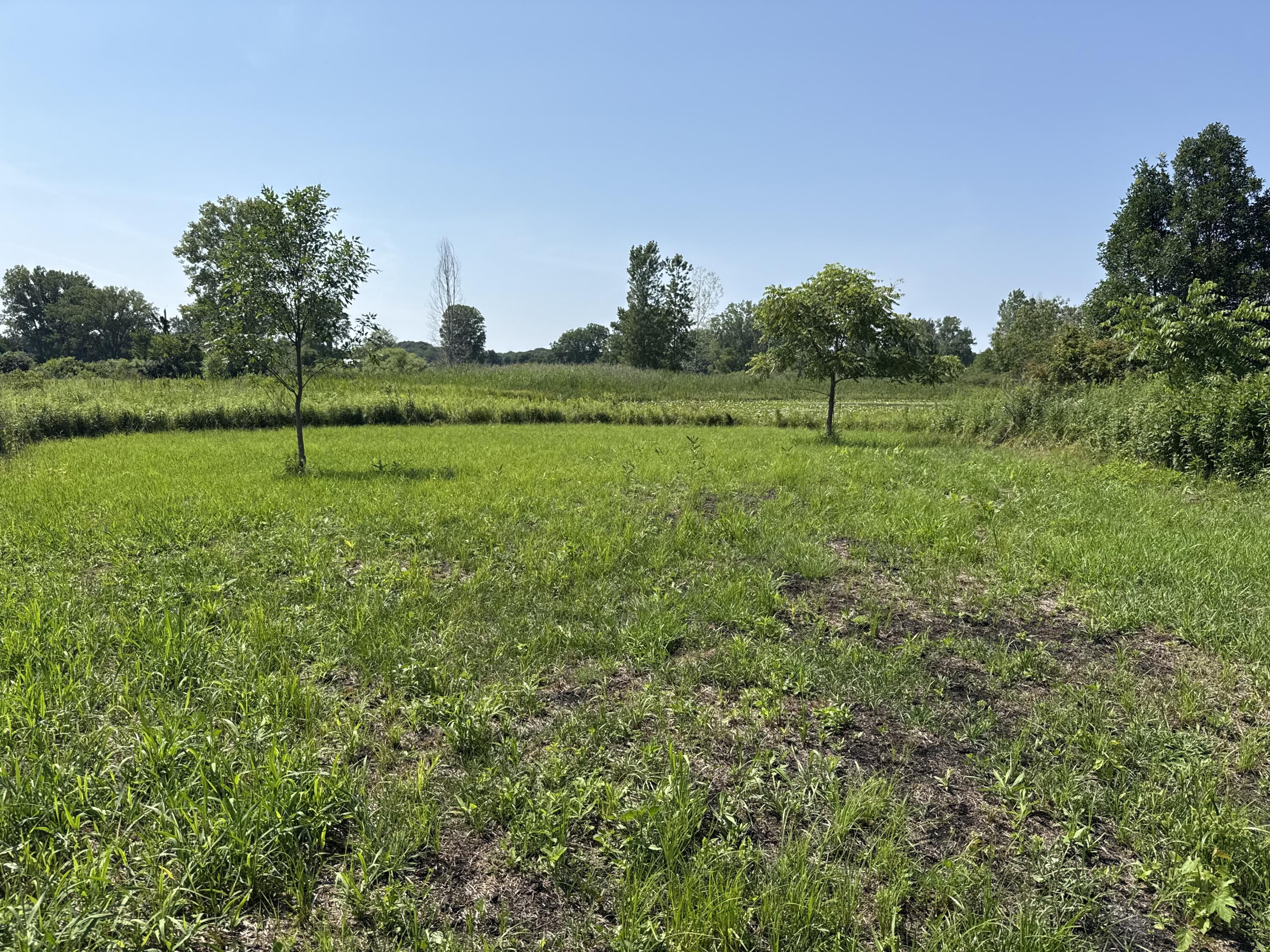 1306 122nd Avenue Hopkins MI 49328